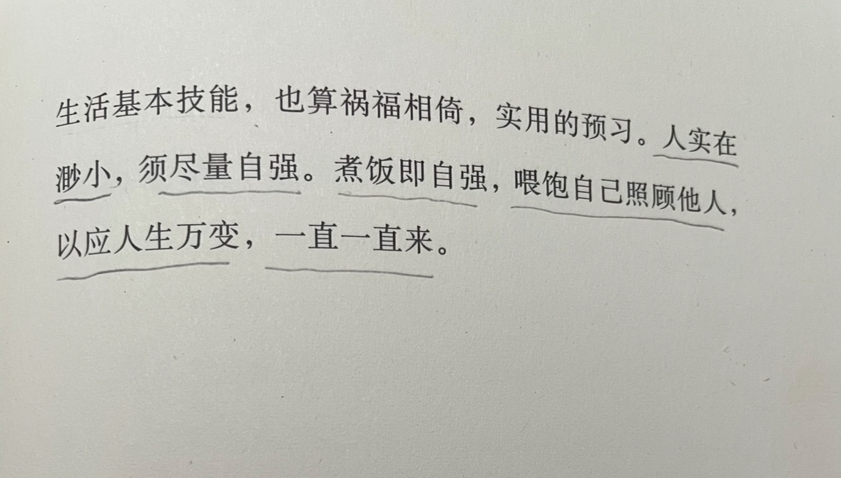 龙餐馆很好看。很老钟（褒义）的那种感觉，努力生活，好好吃饭，煮饭即自强。喂饱自己