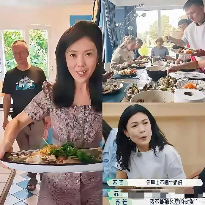 国内女拳，国外女仆