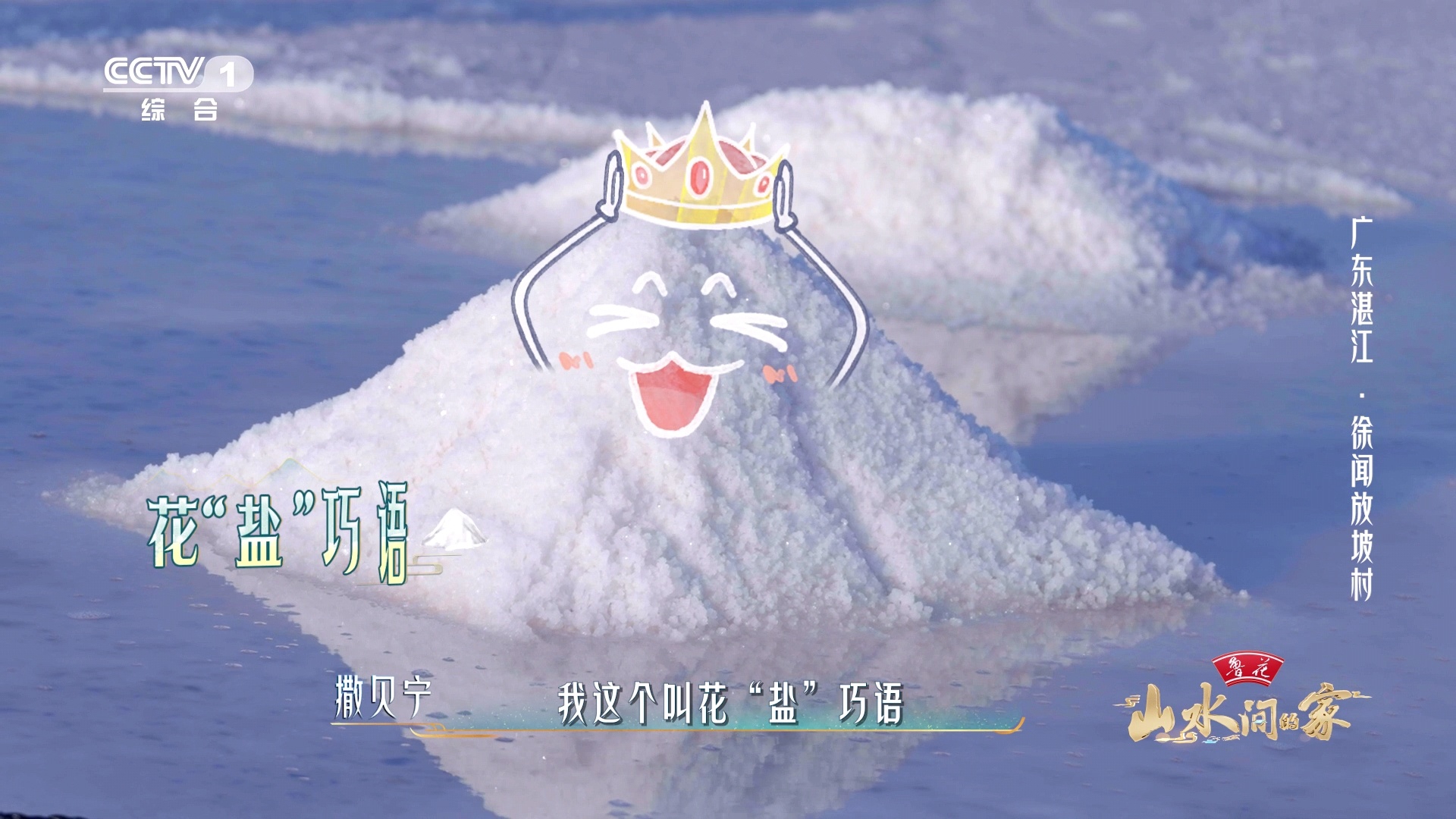 #来广东看微缩版南方雪原##你见过广东微缩版的雪景吗# 撒贝宁你这可真是花盐巧语