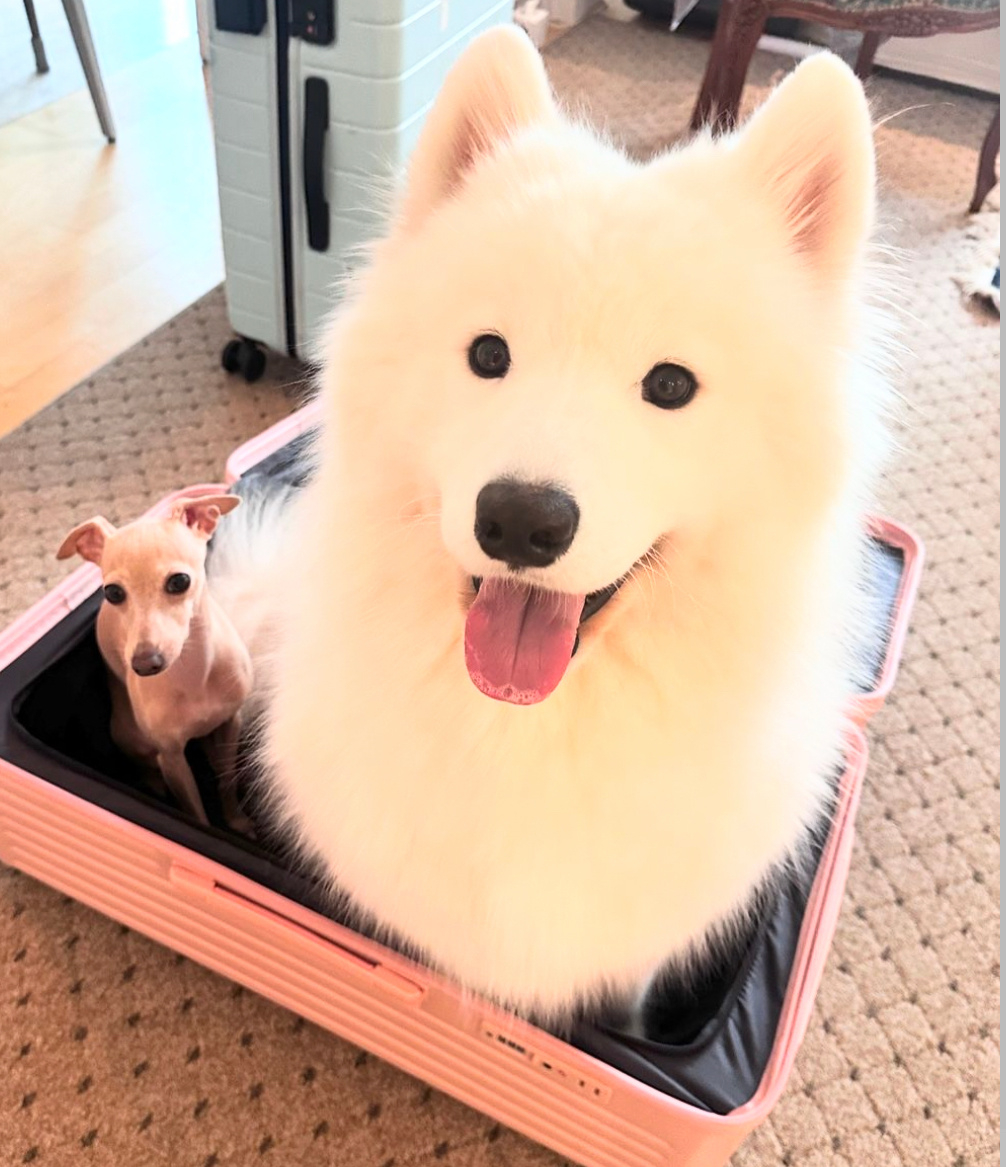 走吧！这次去哪里玩 