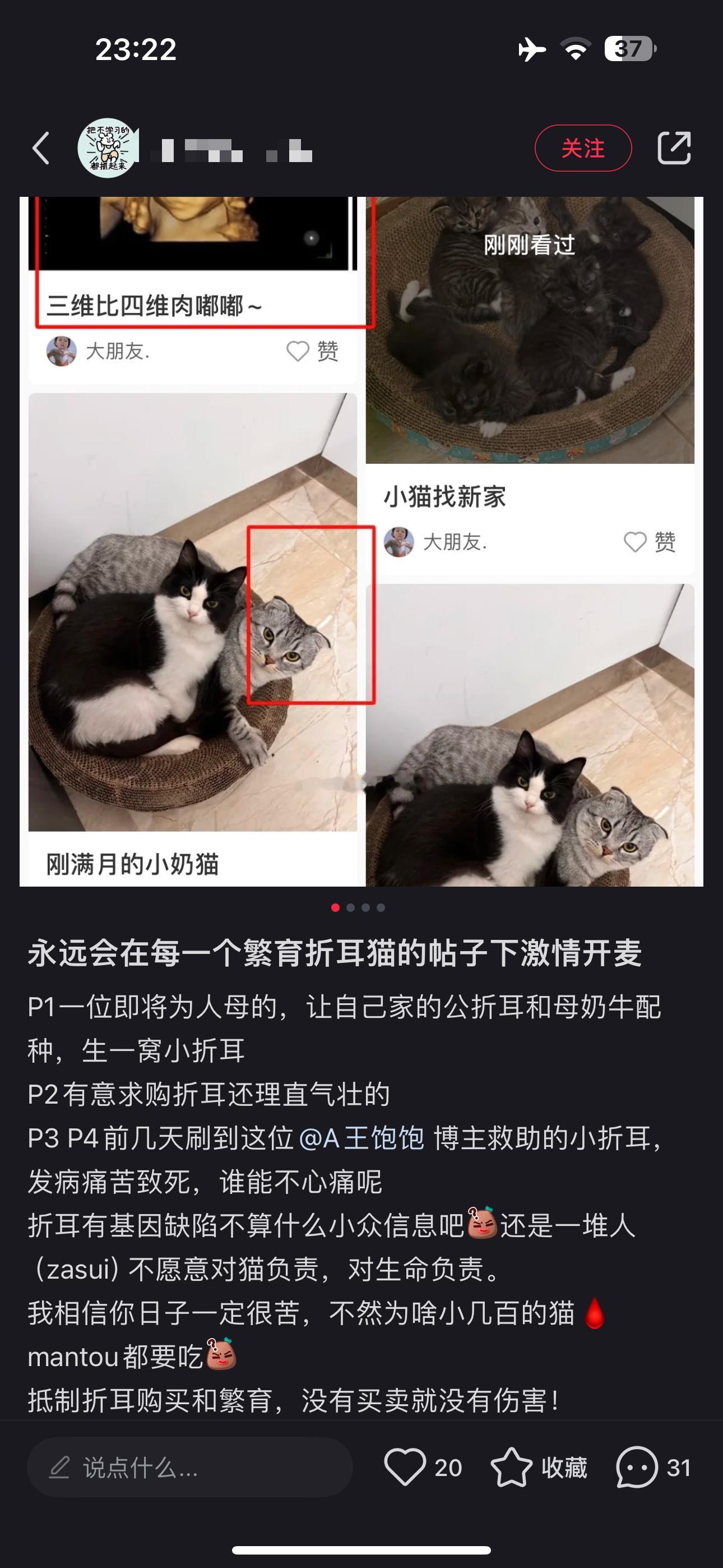 看到折耳猫和矮脚猫不要再点赞了 也不要购买了你们跟大洒逼一样[害羞]小心遭报应 