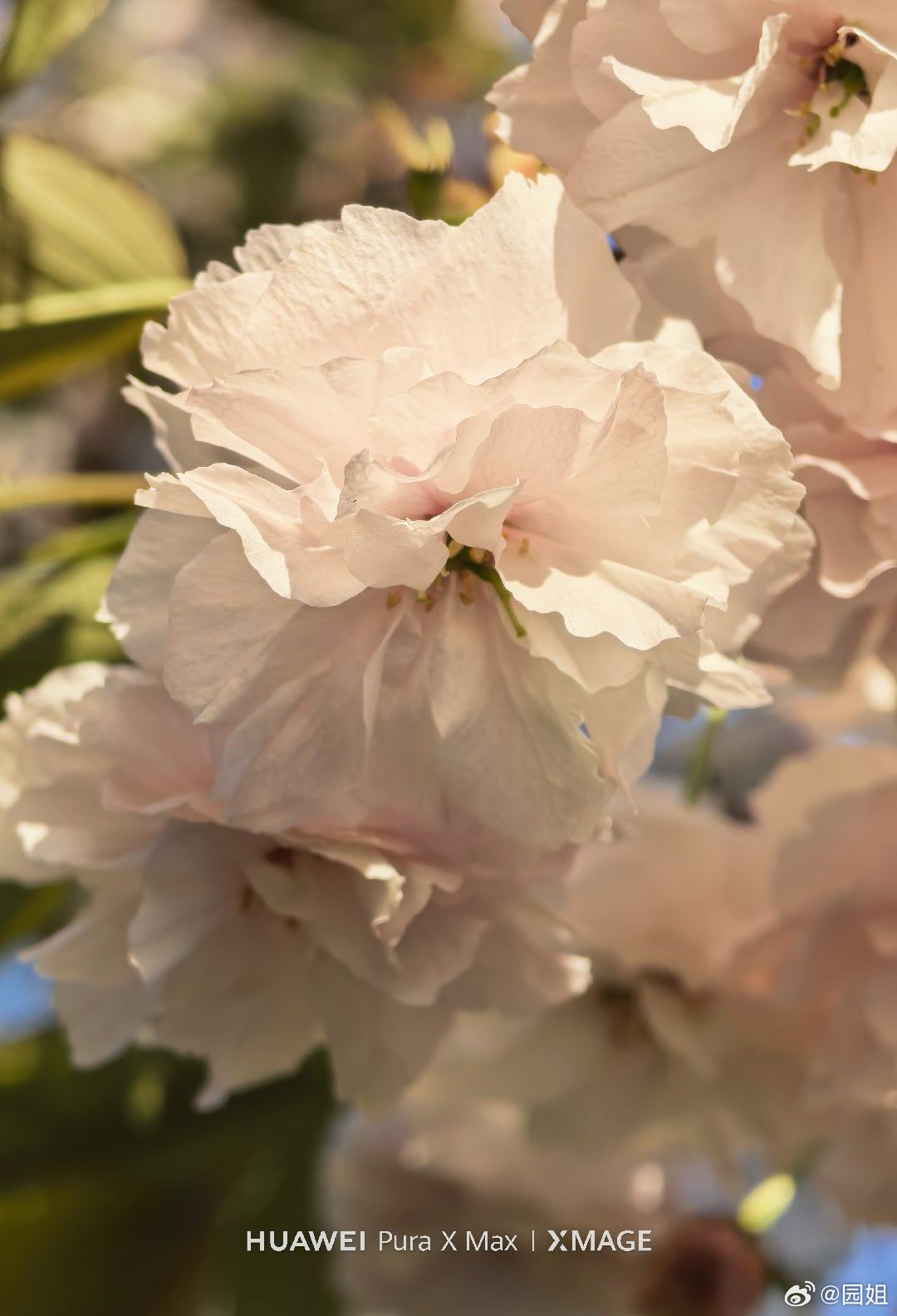 我就是来晒一下小尾巴 