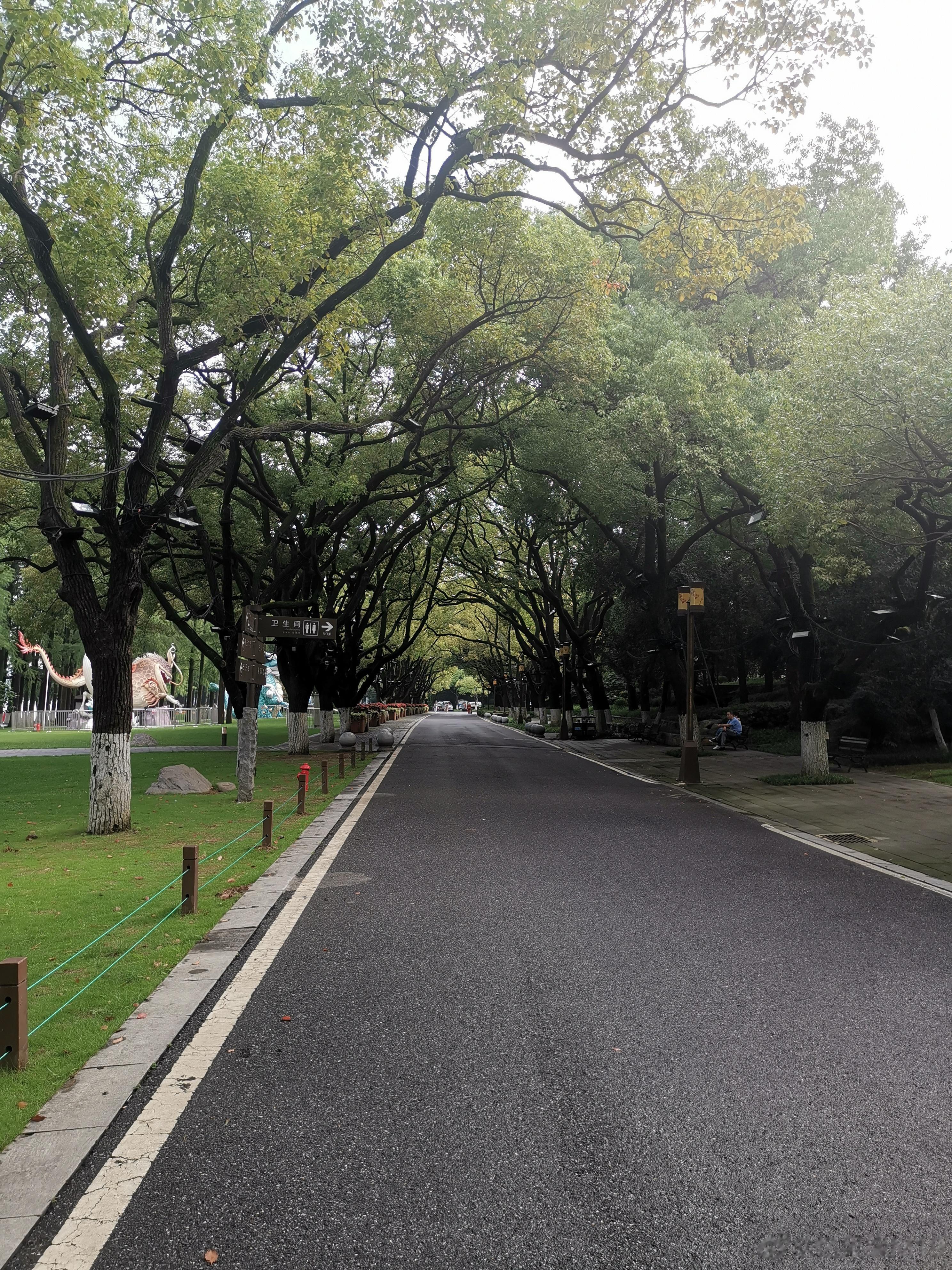 【4个错误的锻炼方式，可能会有损健康！一定要避免】1、过度训练很多人对于锻炼效果