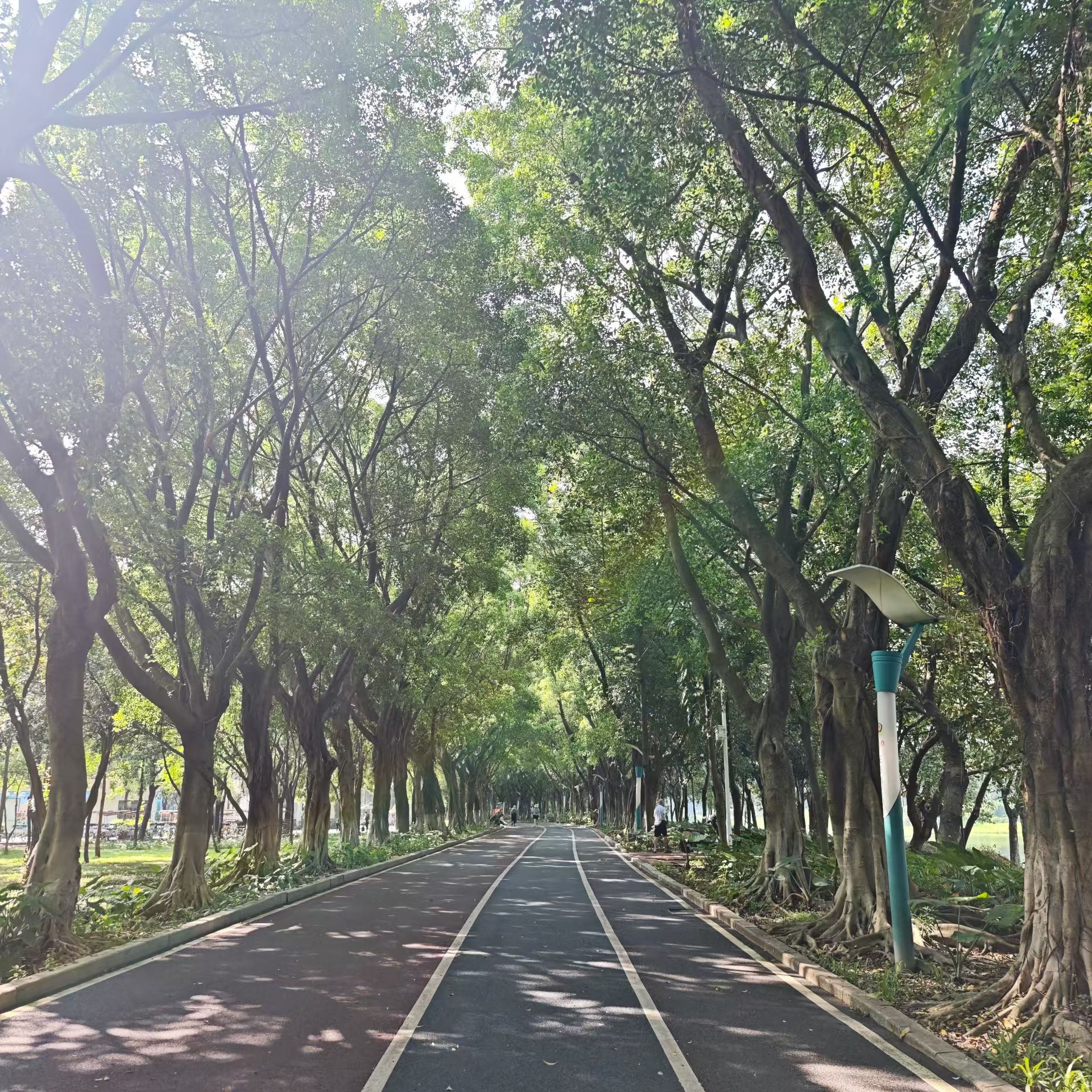 难得的好天气，出来溜达溜达，呼吸一下新鲜空气[微风]金油趋势专家-唐生 ​​​