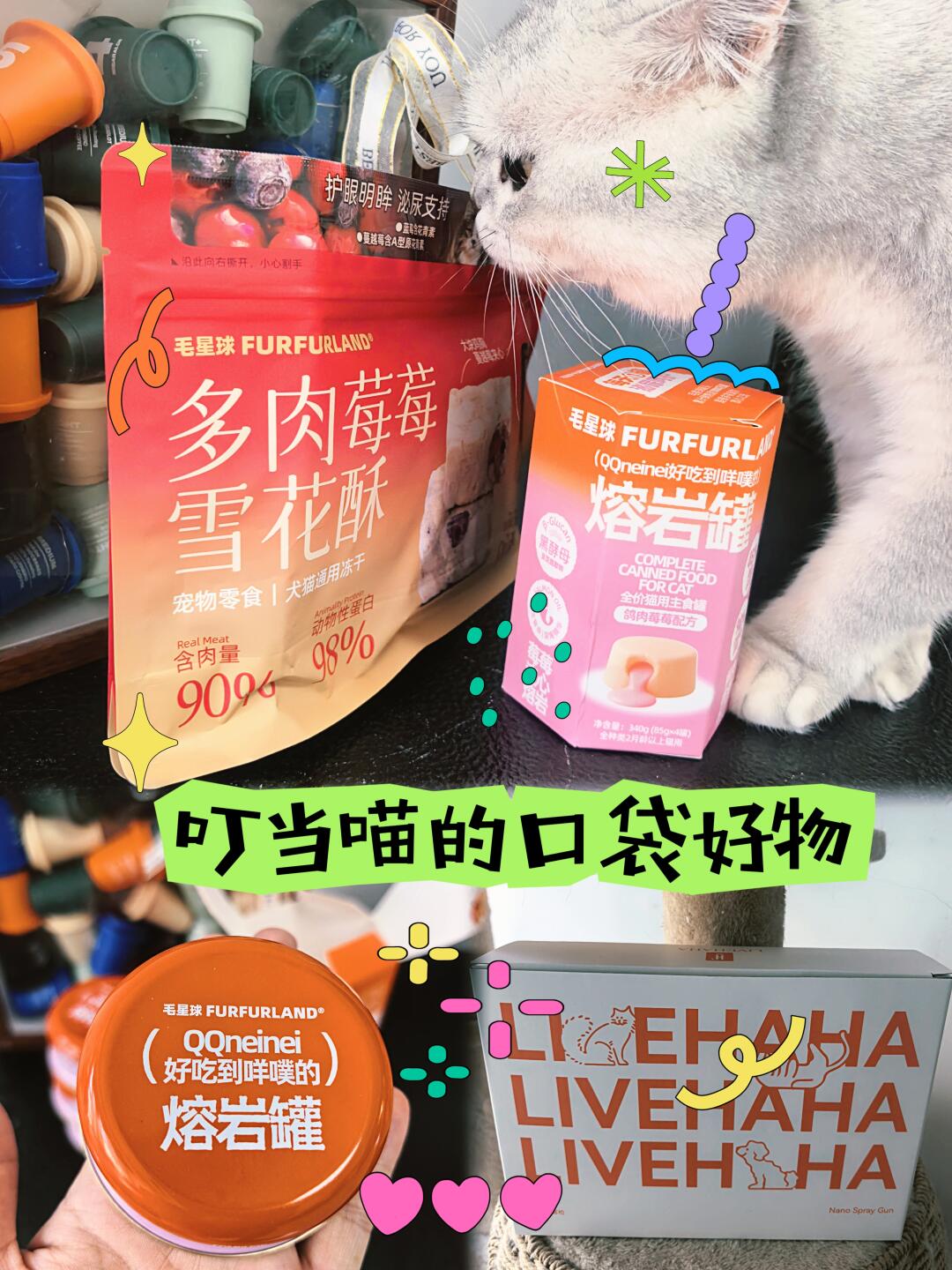 叮当猫的宝藏口袋来了