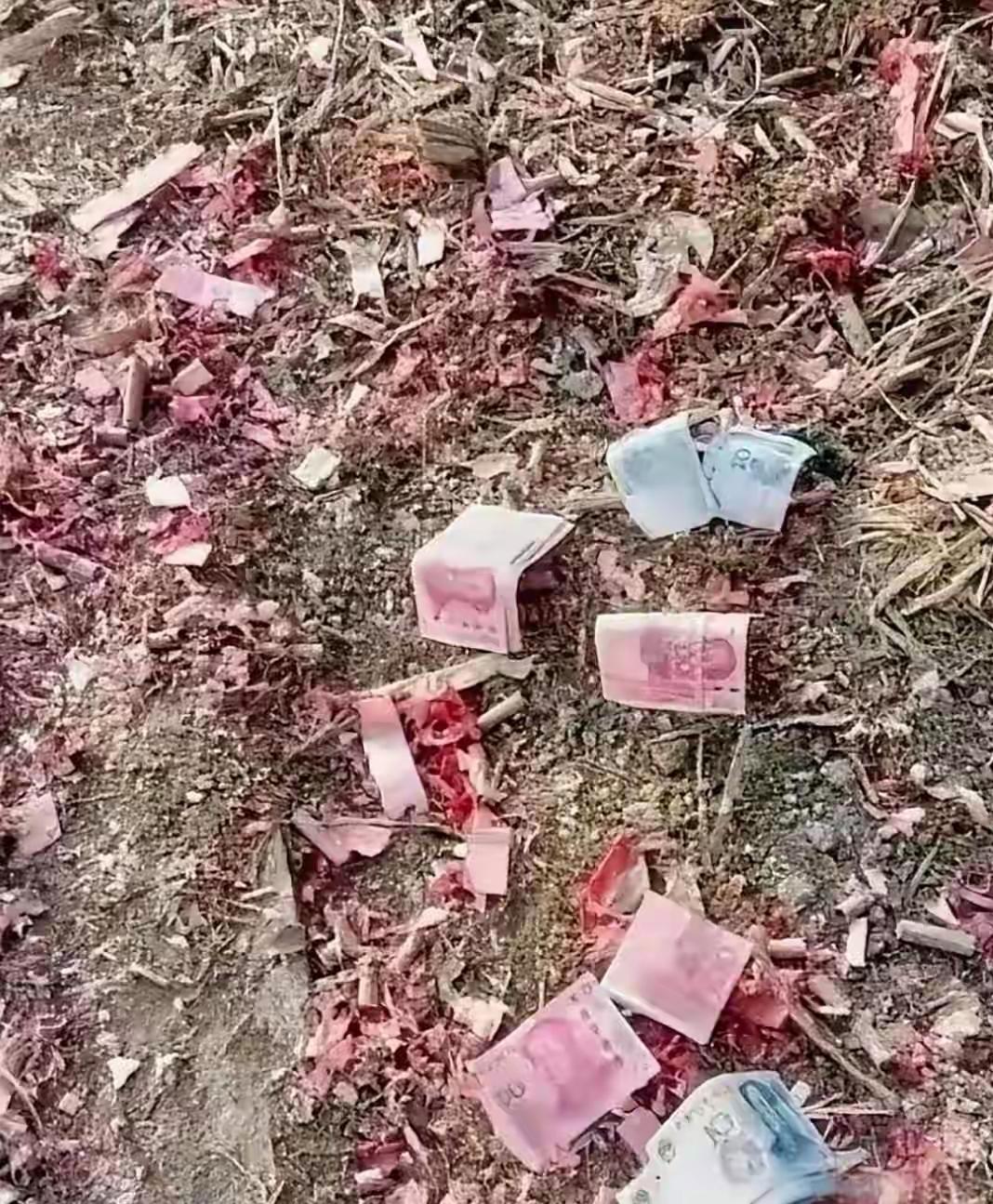 喜庆的日子刚过，
今早路过一处刚办完喜事的人家，
发现了散落一地的现金，
躺在那