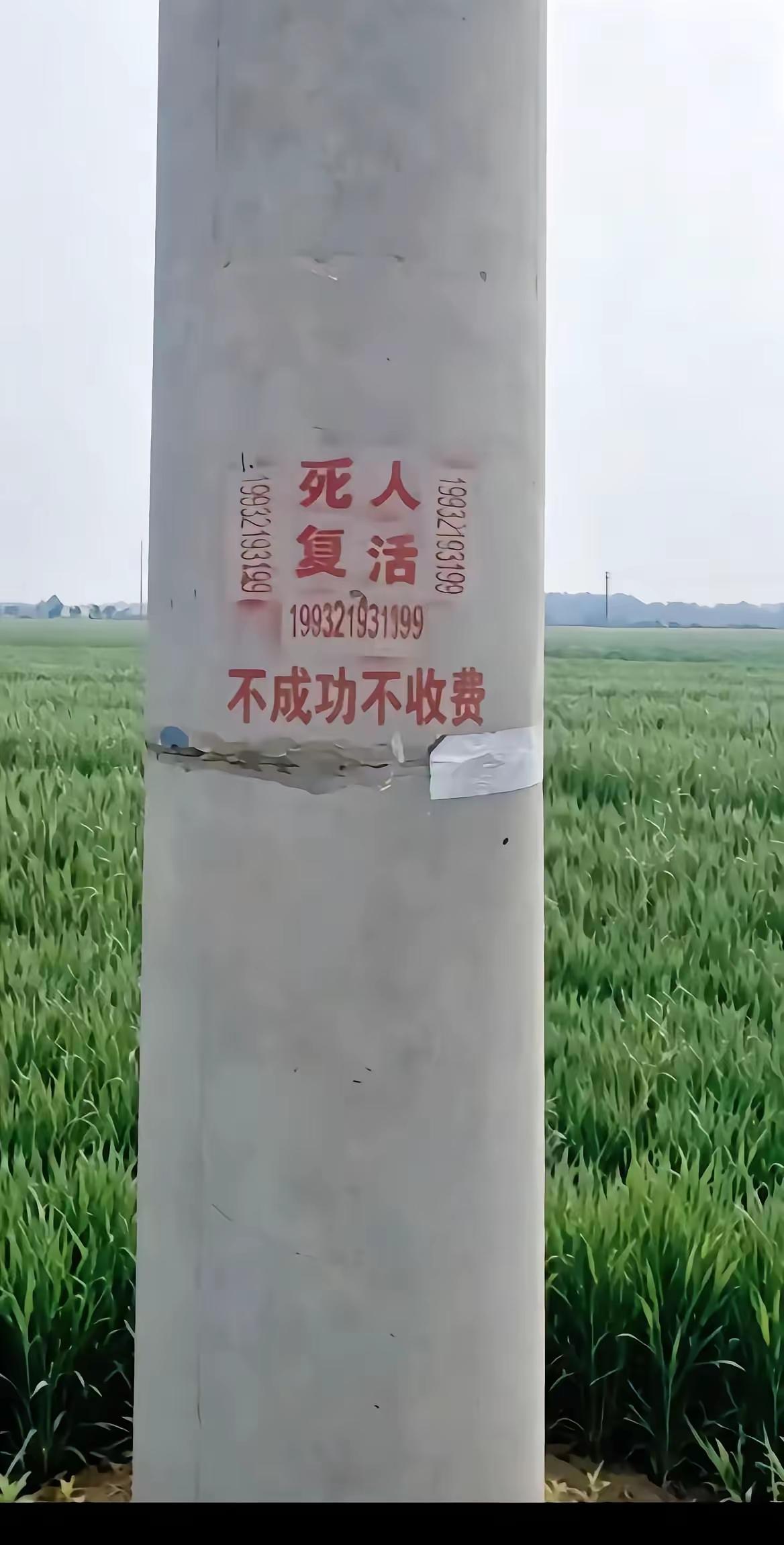 反正最后也不问你收费，人家的目的也不是为了骗钱，就是骗你点吃喝而已，天天好酒好菜