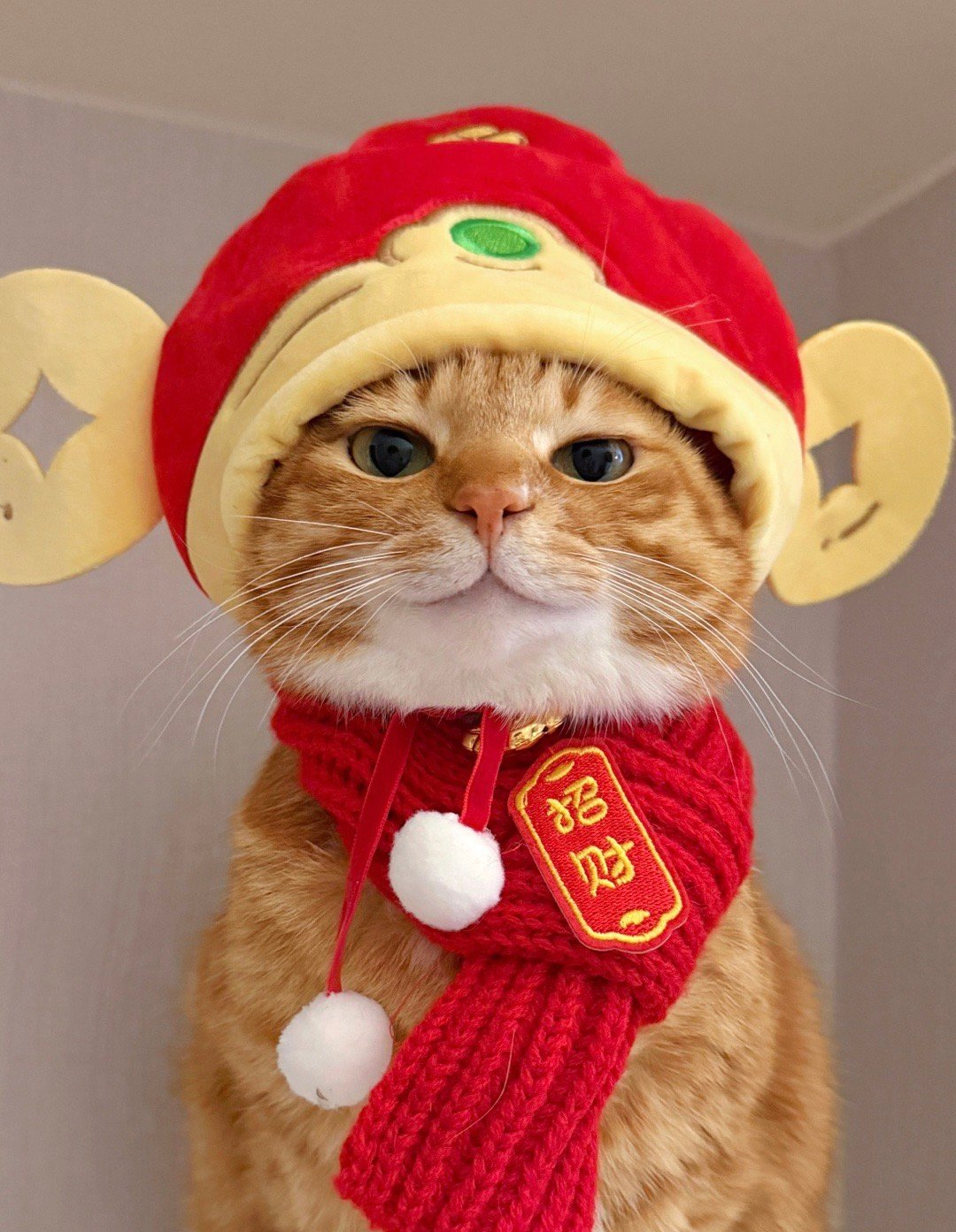 妇女节 放假虽然妇女节是周末，但我已经刷到有公司今天放半天假了，真是神仙公司周末