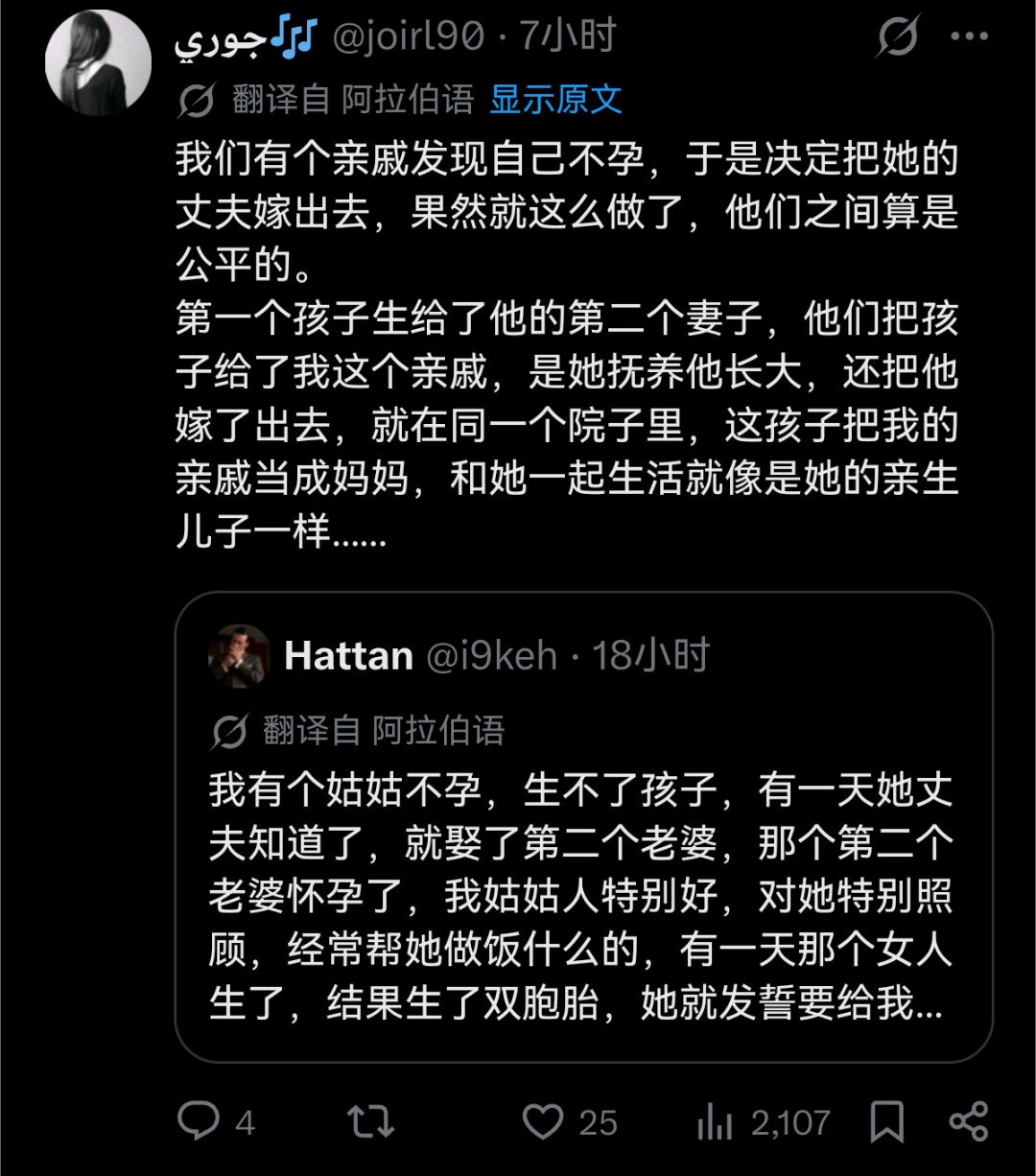 马斯克大翻译运动后，刷到了阿拉伯世界的“温情故事”—— 