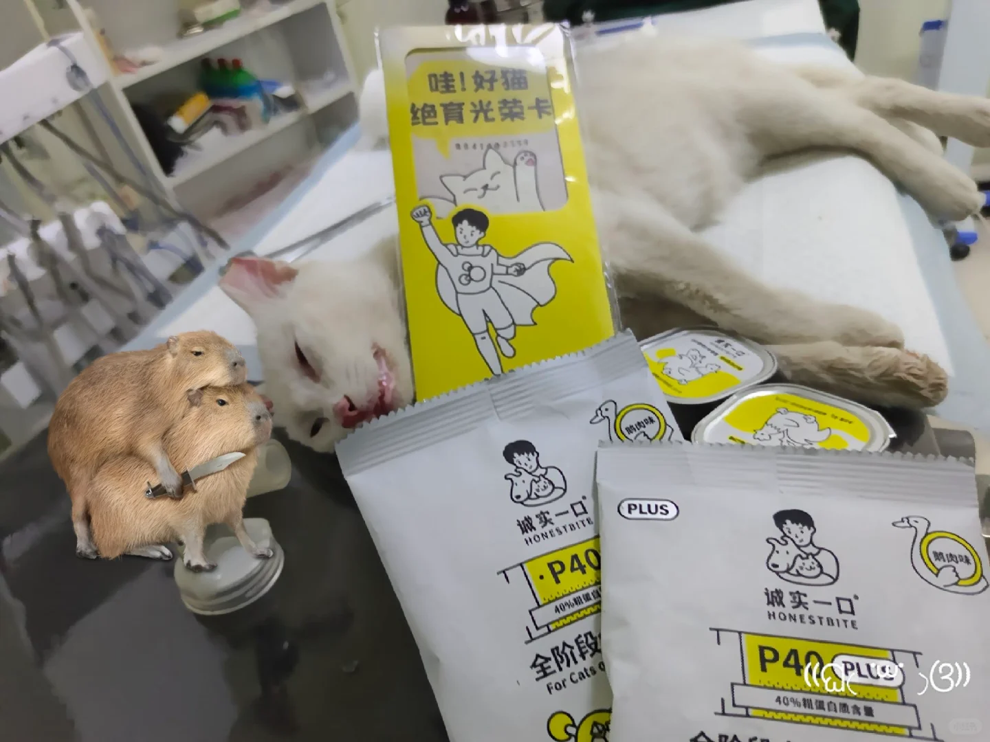 小白三已经嘎蛋完成！