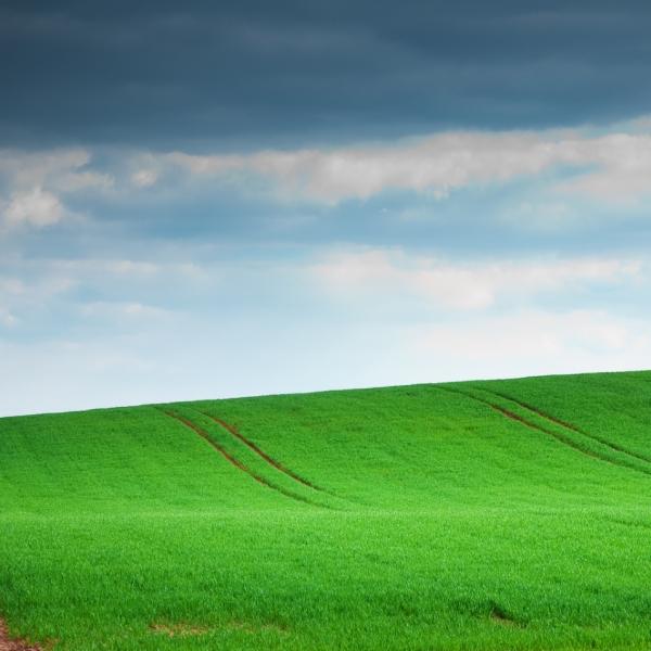传承中医，能守住千年医学积淀的精髓；发展中医，则可通过现代科技赋能，让传统智慧更