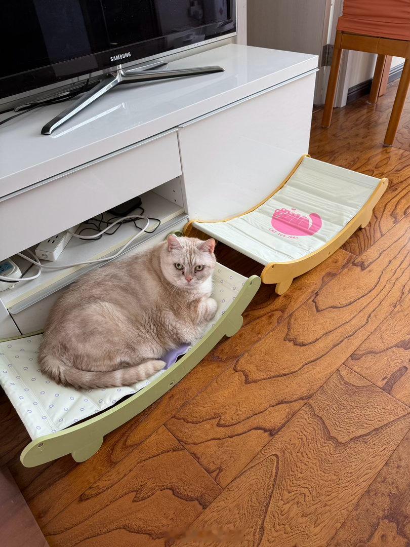 莫名其喵  夏天来了给猫换了冰垫版的小床，结果尺寸上窄了一些，菠萝有点局促
