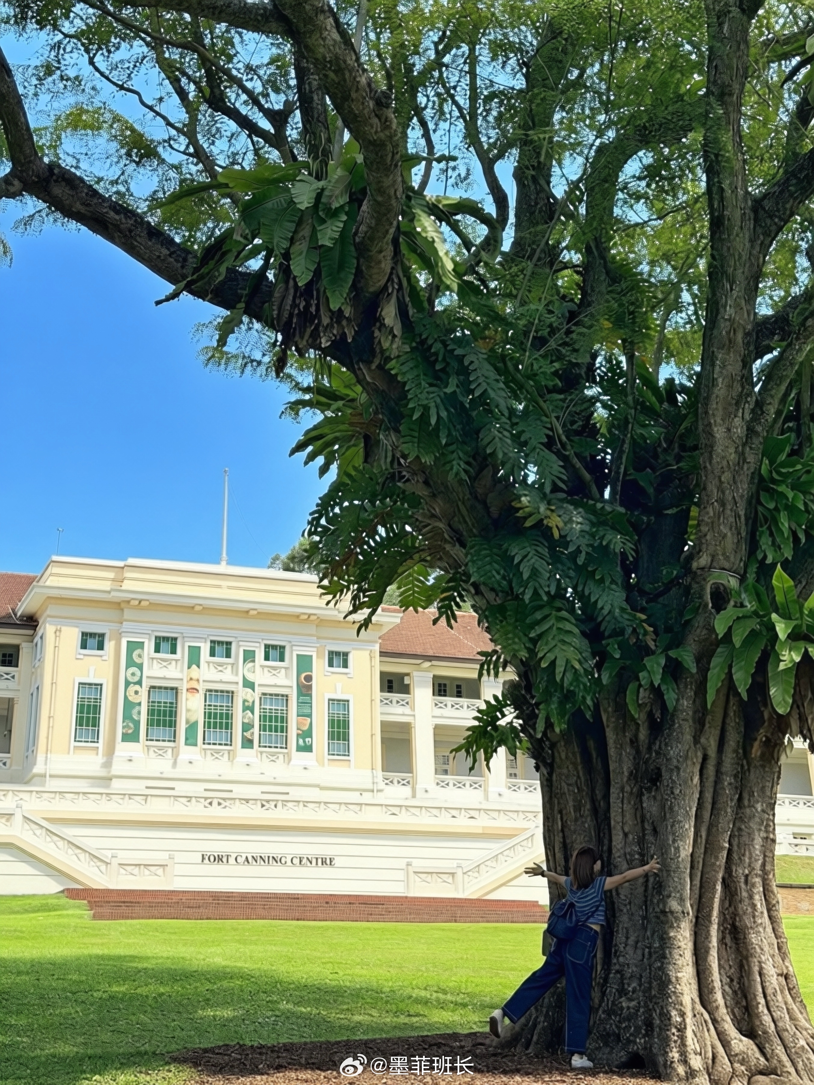 环抱大树吸吸能量🌳看一场东海岸的日落🌅辣椒sourdough绝绝子 