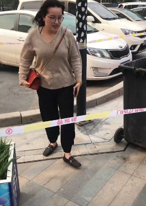 马兰花开在垃圾桶上了！