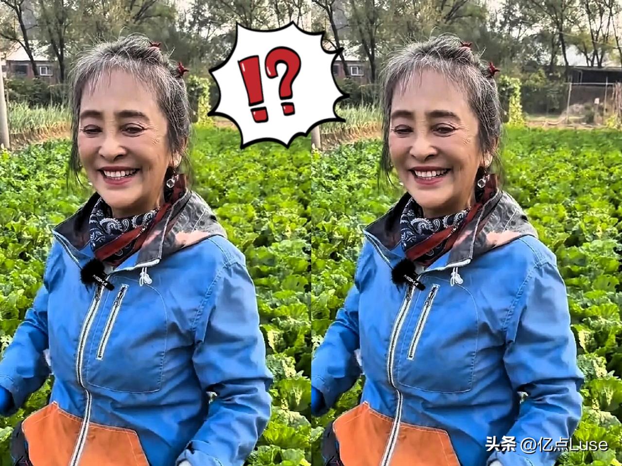 62岁的李勤勤，去怀柔拍了两天戏，台词加起来不足十句，只领到一个薄红包。回到院子