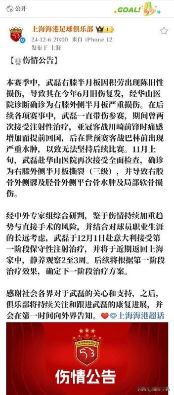 海港发布武磊伤情公告!

海港发布了武磊的伤情公告，公告称：武磊在6月份就已经旧