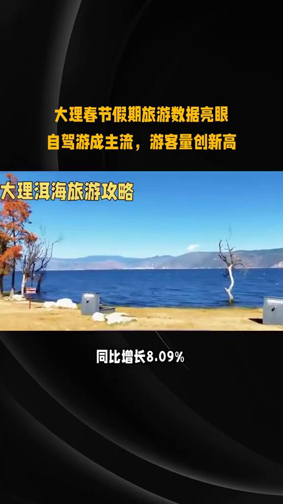 大理春节假期旅游数据亮眼，自驾游成主流，游客量创新高。
风花雪月爱在大理，202