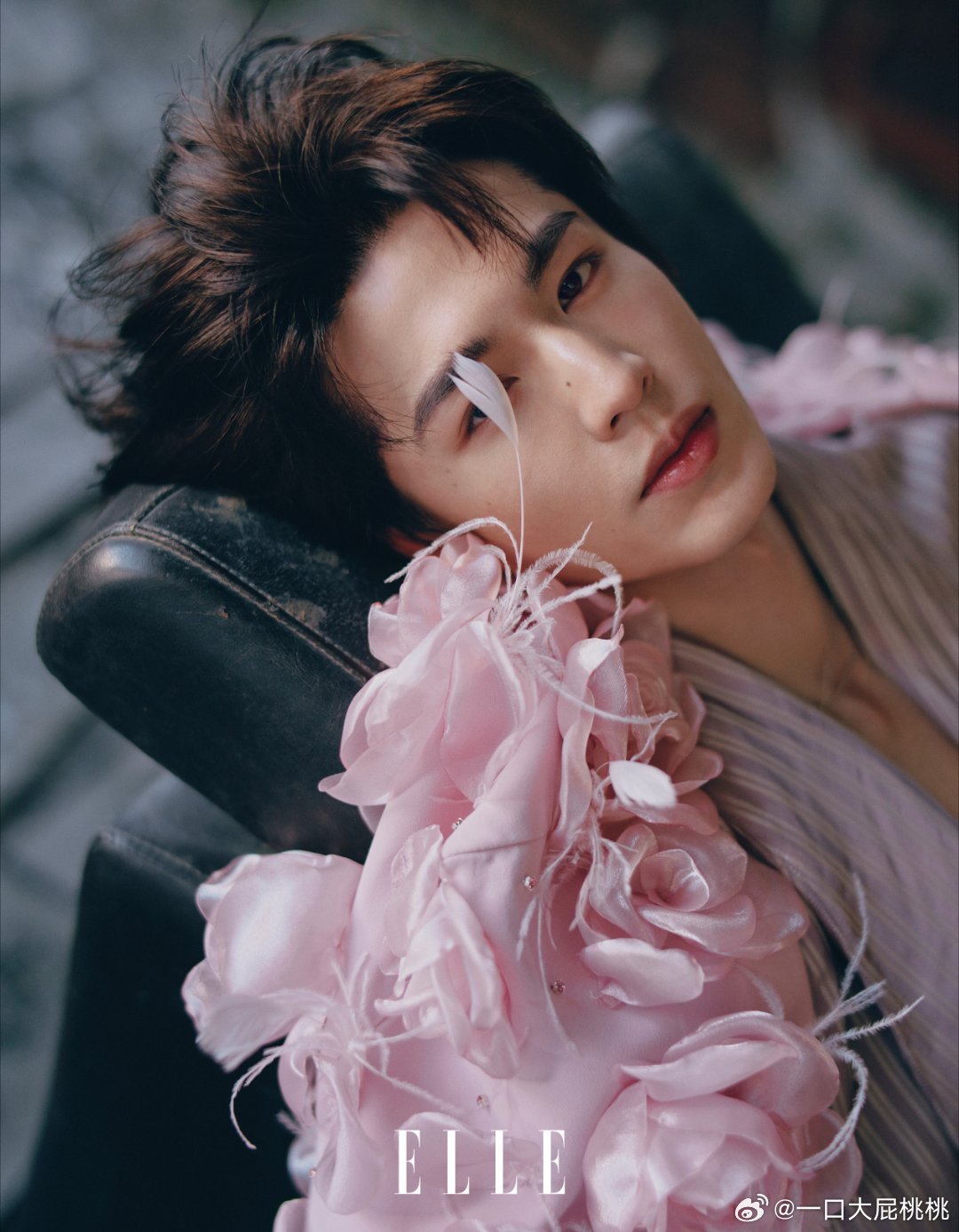 内页大片来了，许闯拍的ELLE四月刊张凌赫封面张凌赫时空折叠ELLE大片