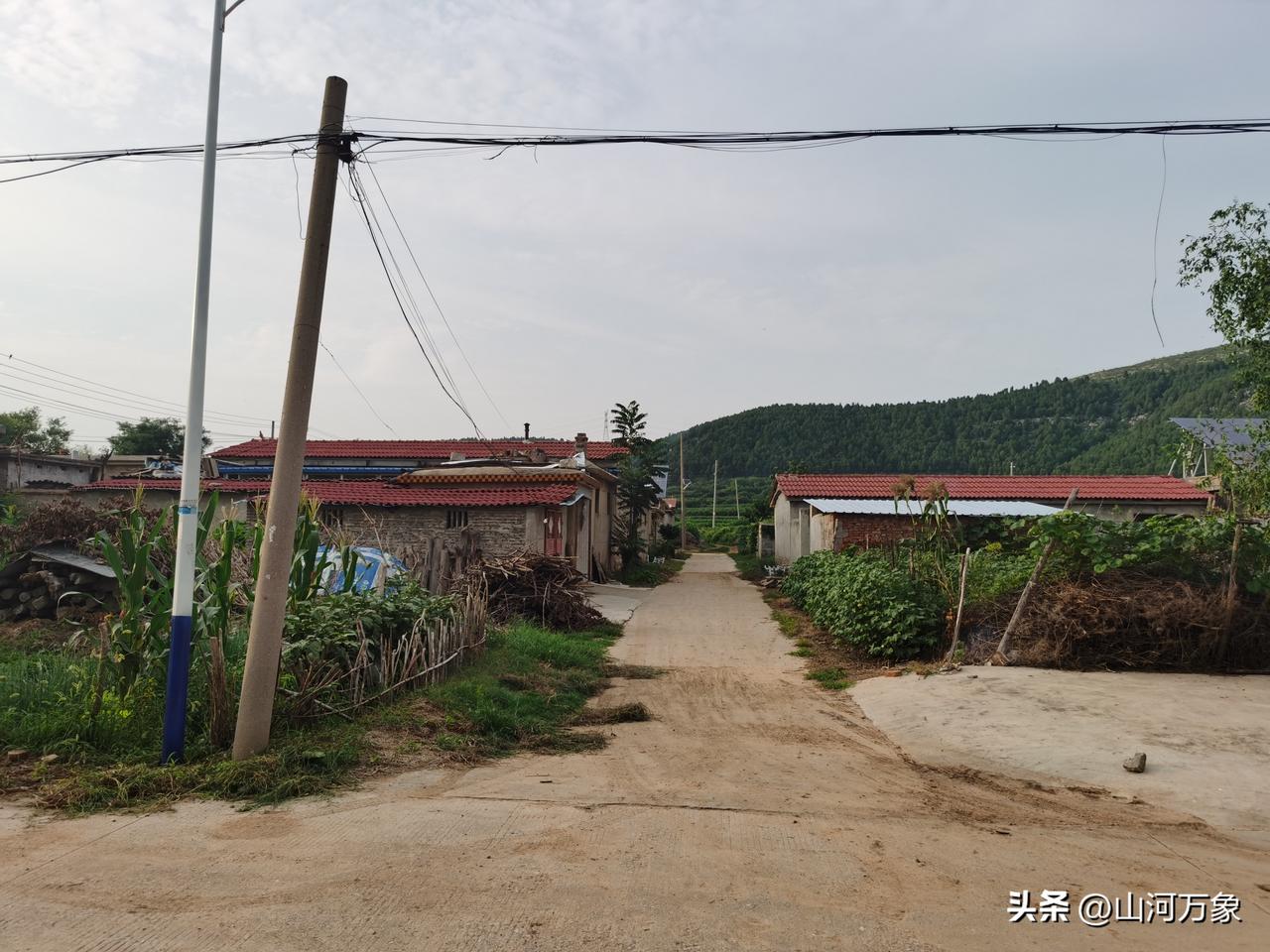 以前高考是为了改变个人以及家庭的命运，现在有的学生高考是为了获得个文凭，仅仅凭毕