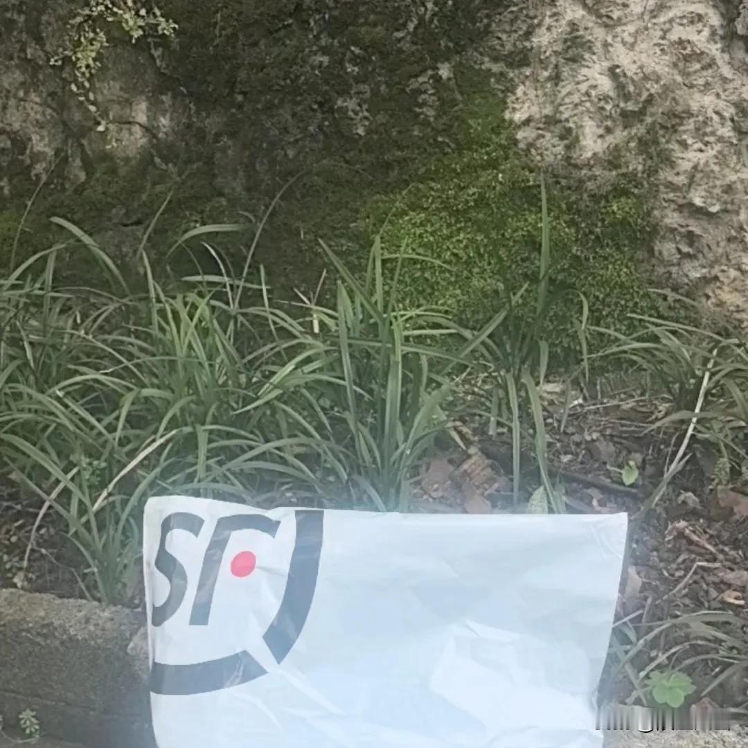 心情像用兰花香露洗过一样，遇到奇事啦！我已经决定今年不买兰花了，可是兰花依然来我