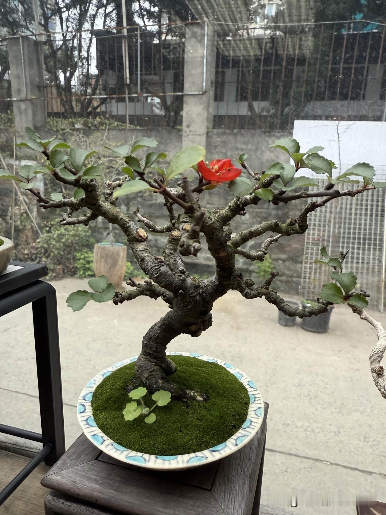 生命的担当
昨晚在医院看到了最感动人心的一幕，五十多岁的男人，肺大泡爆裂，呼吸困