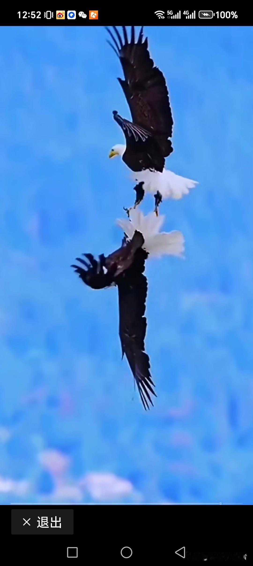 首次吧？好！我的地盘我作主的时代来临了[赞][赞][赞]