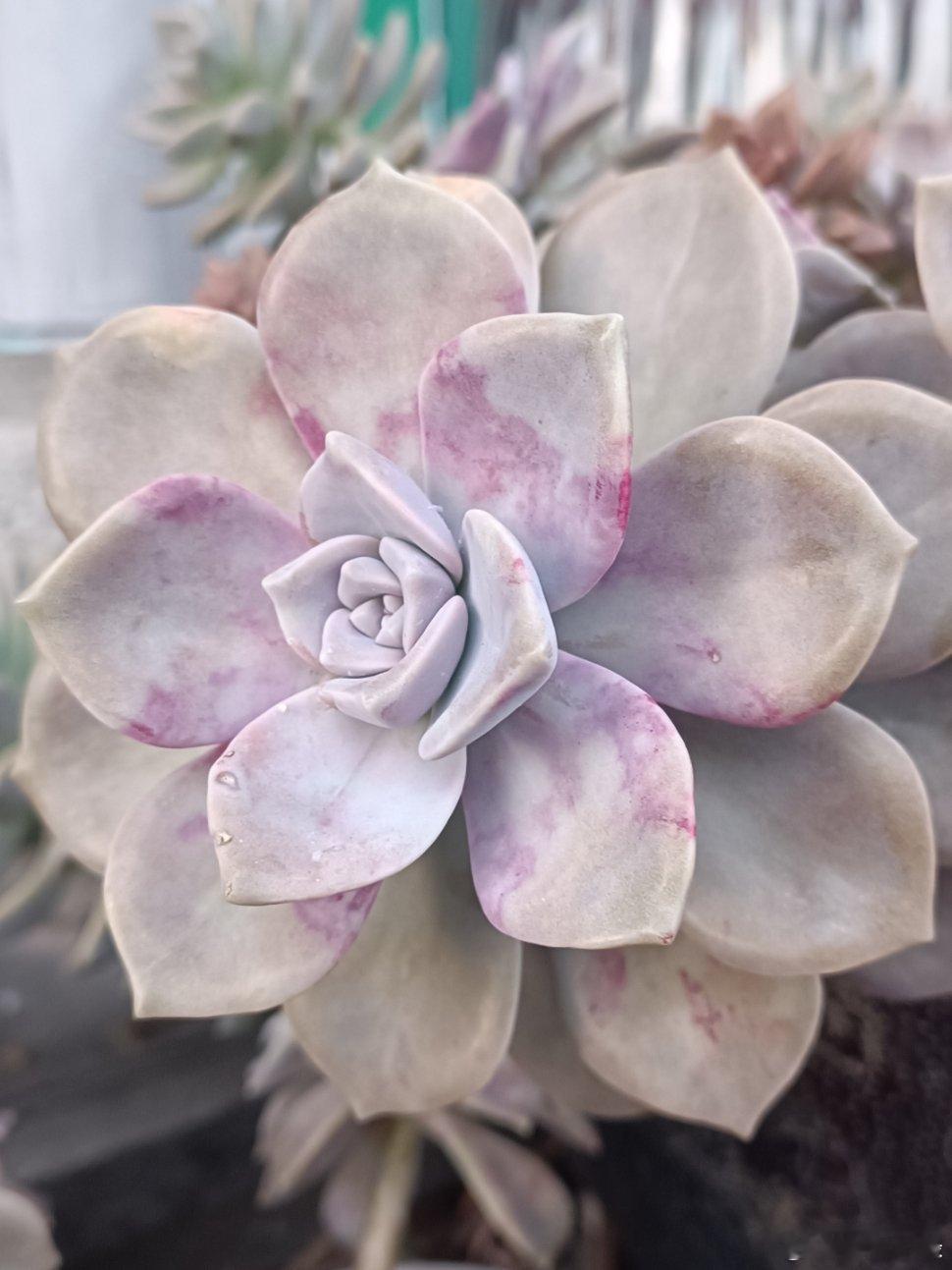 总是听人说活在当下，《当下的力量》我也读过好几遍，总之活在当下好处多多。但是我一