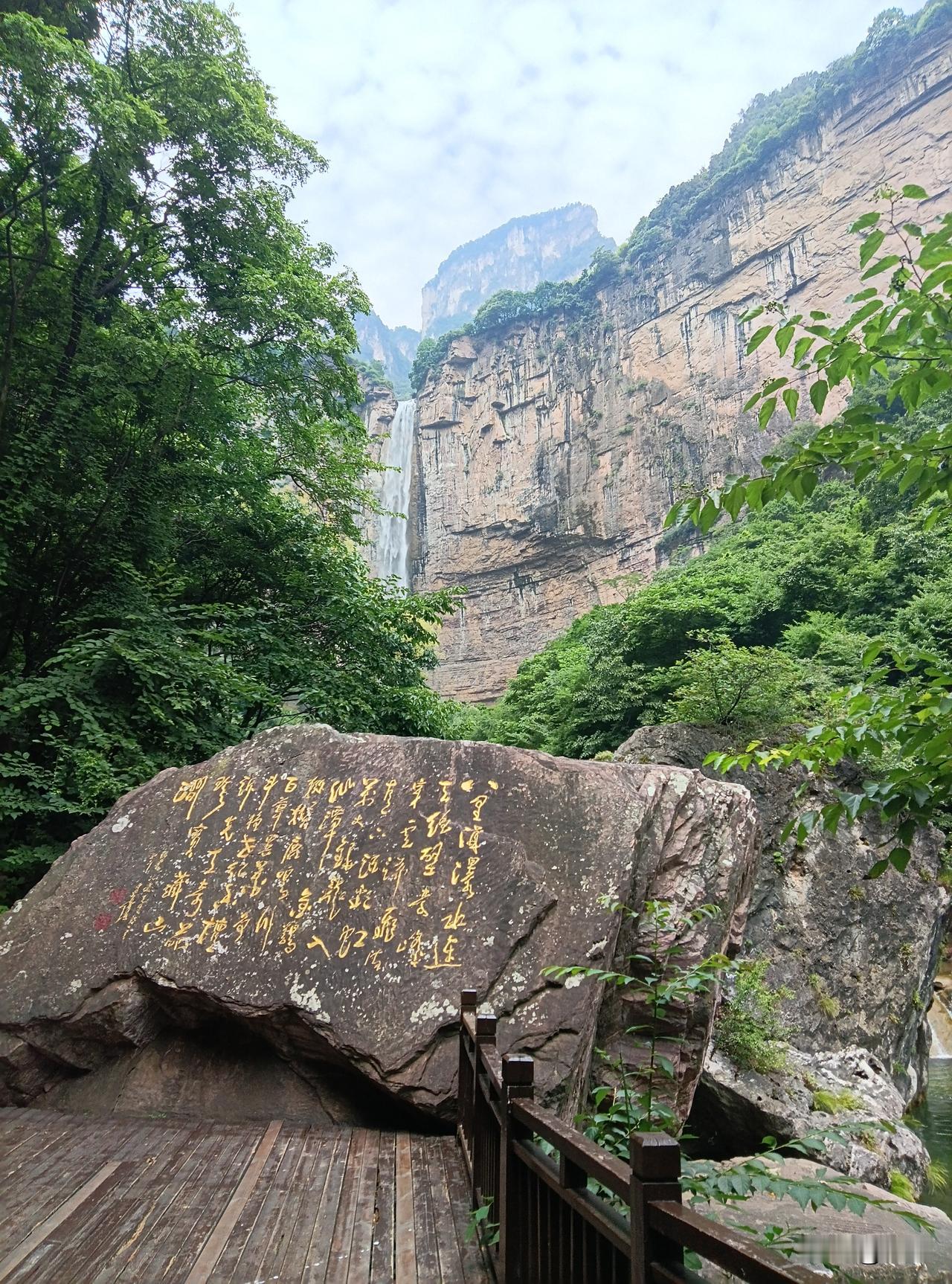 亲们沉痛宣告：愽主又栓住了