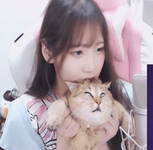 慕！妹子有特殊的撸猫方式，这也太销魂了吧？
能不能放开那只猫，有什么冲我来？