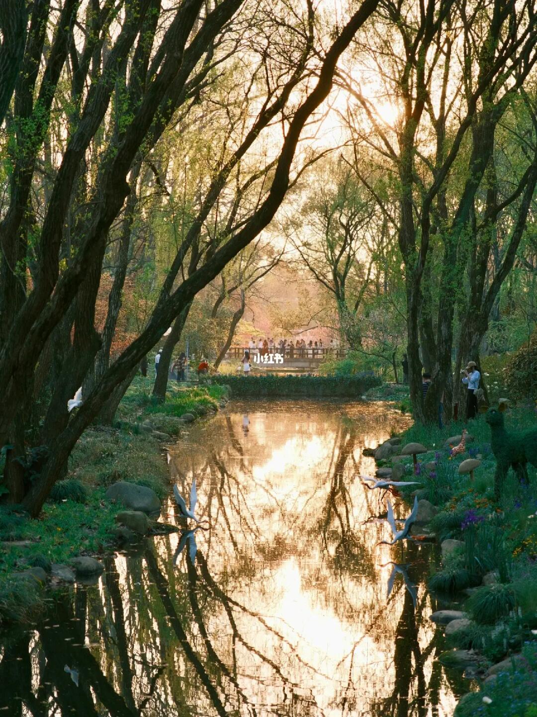 春天里的共青森林公园