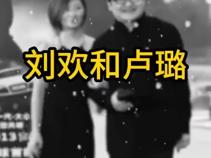 相识九天闪婚，刘欢一曲《璐璐》，将半生温柔全部留给妻子卢璐