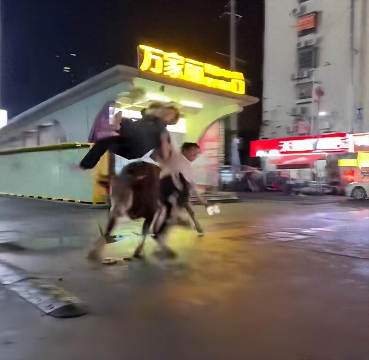 今天凌晨长沙街头发生了一件吓人的事，一头黄牛从市场跑出来，在大街上横冲直撞，撞伤