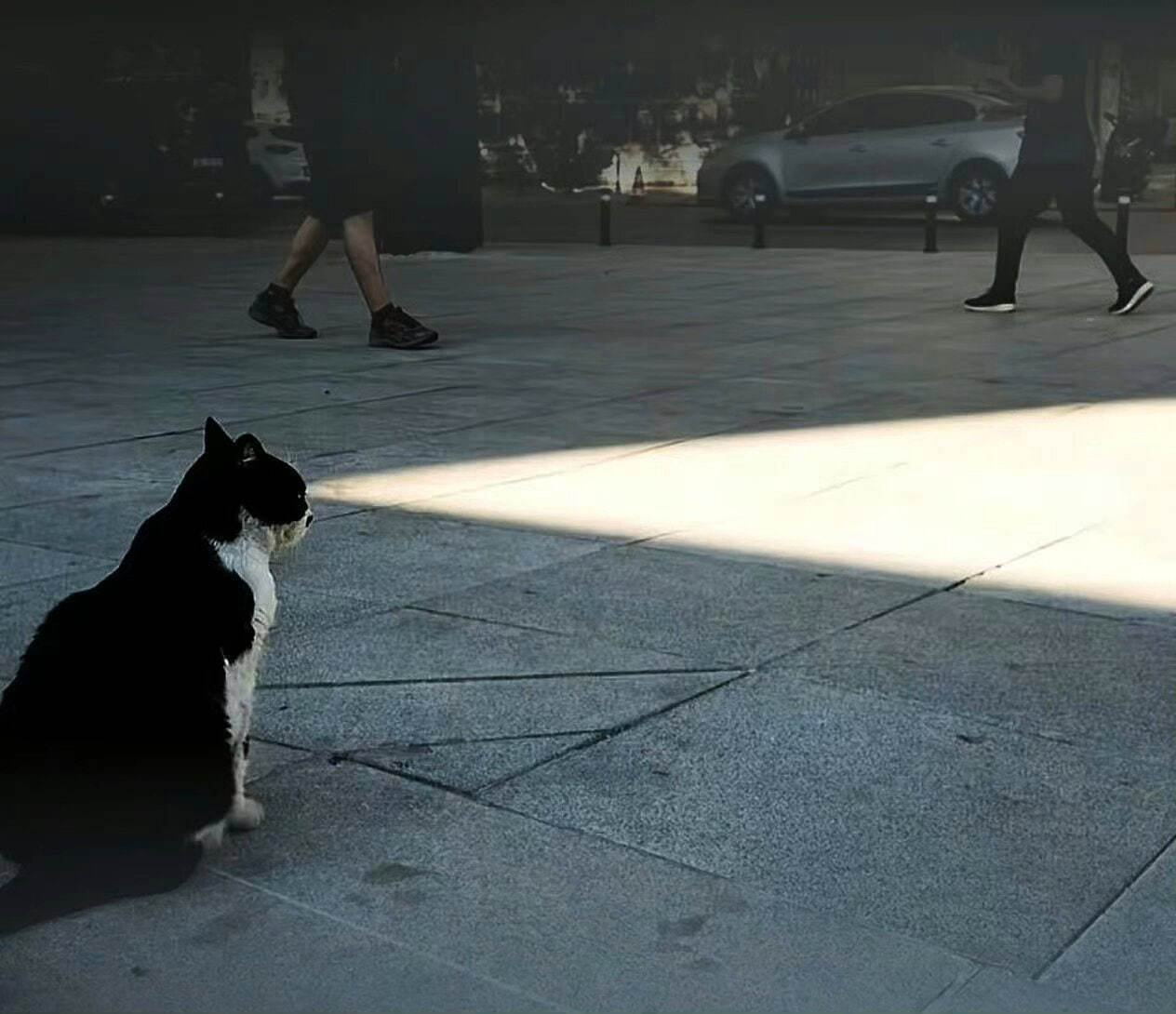 激光眼 