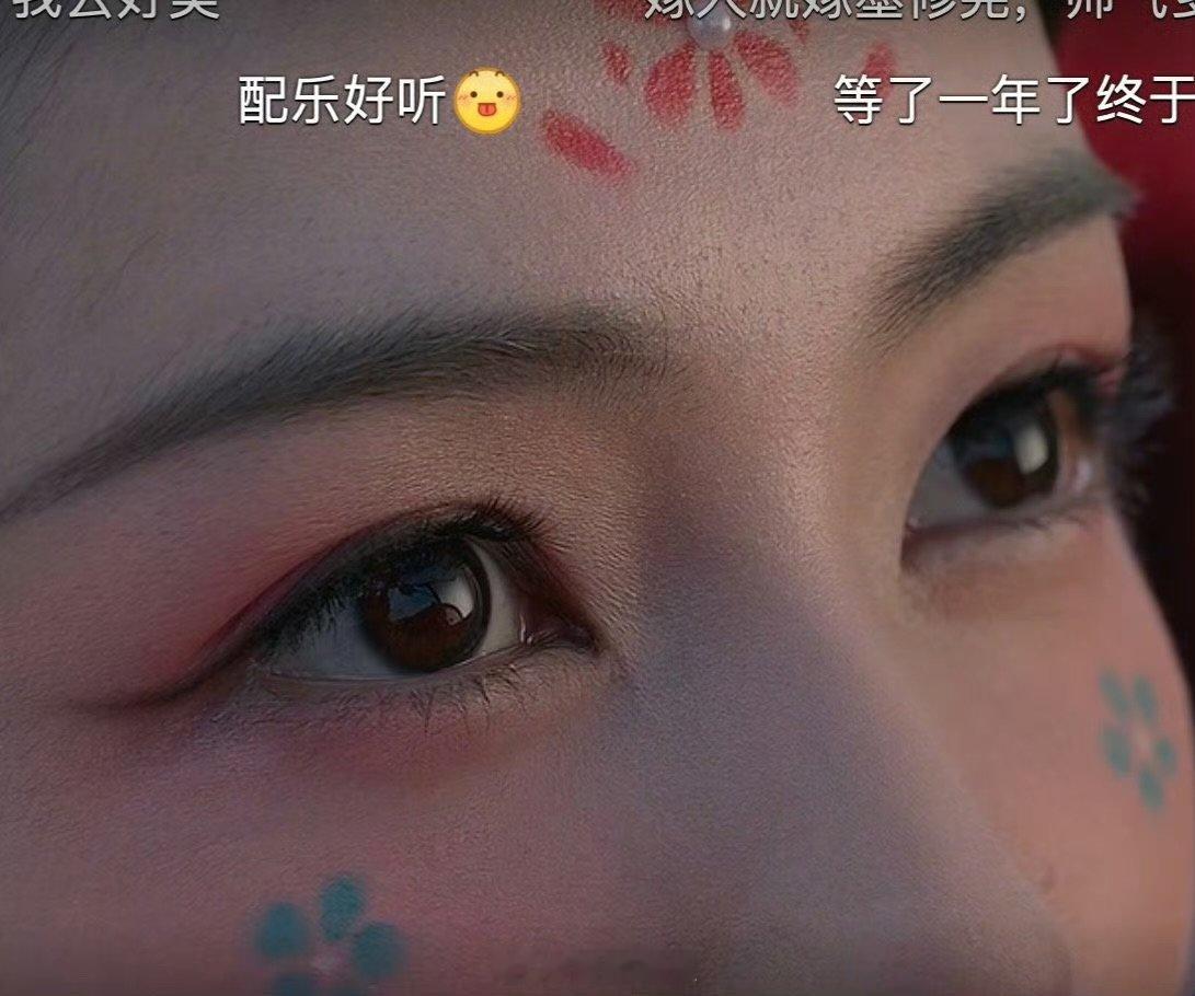 白鹿的胎毛拍的也很清晰莫离白鹿胎毛白鹿的胎毛拍的也很清晰 