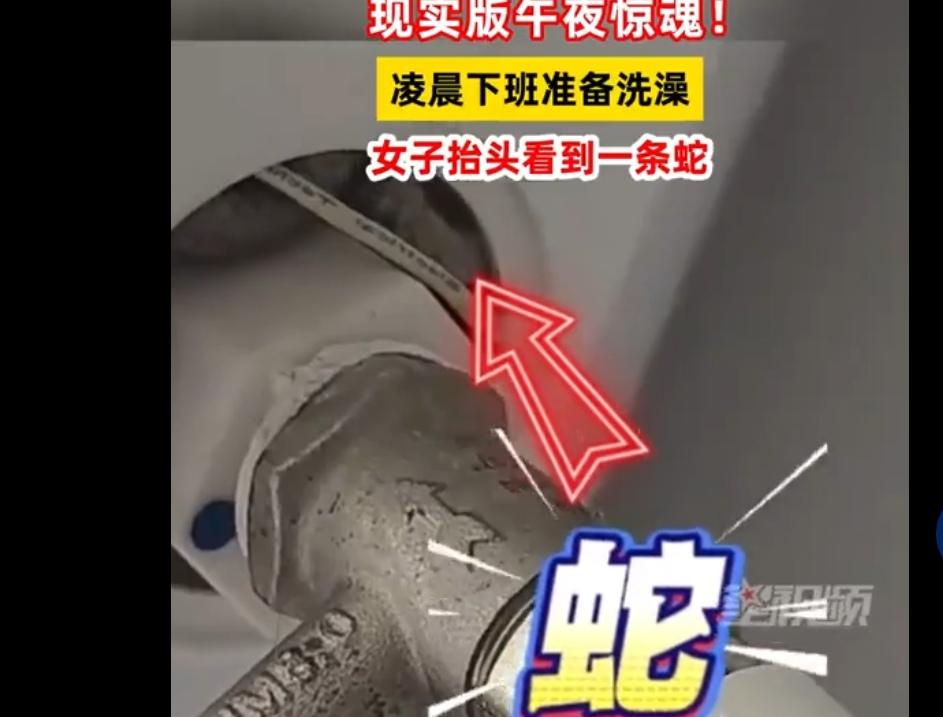 头皮发麻！女子凌晨下班洗澡，抬头撞见插线板上盘着蛇，惊魂一幕看呆网友
 
谁能想