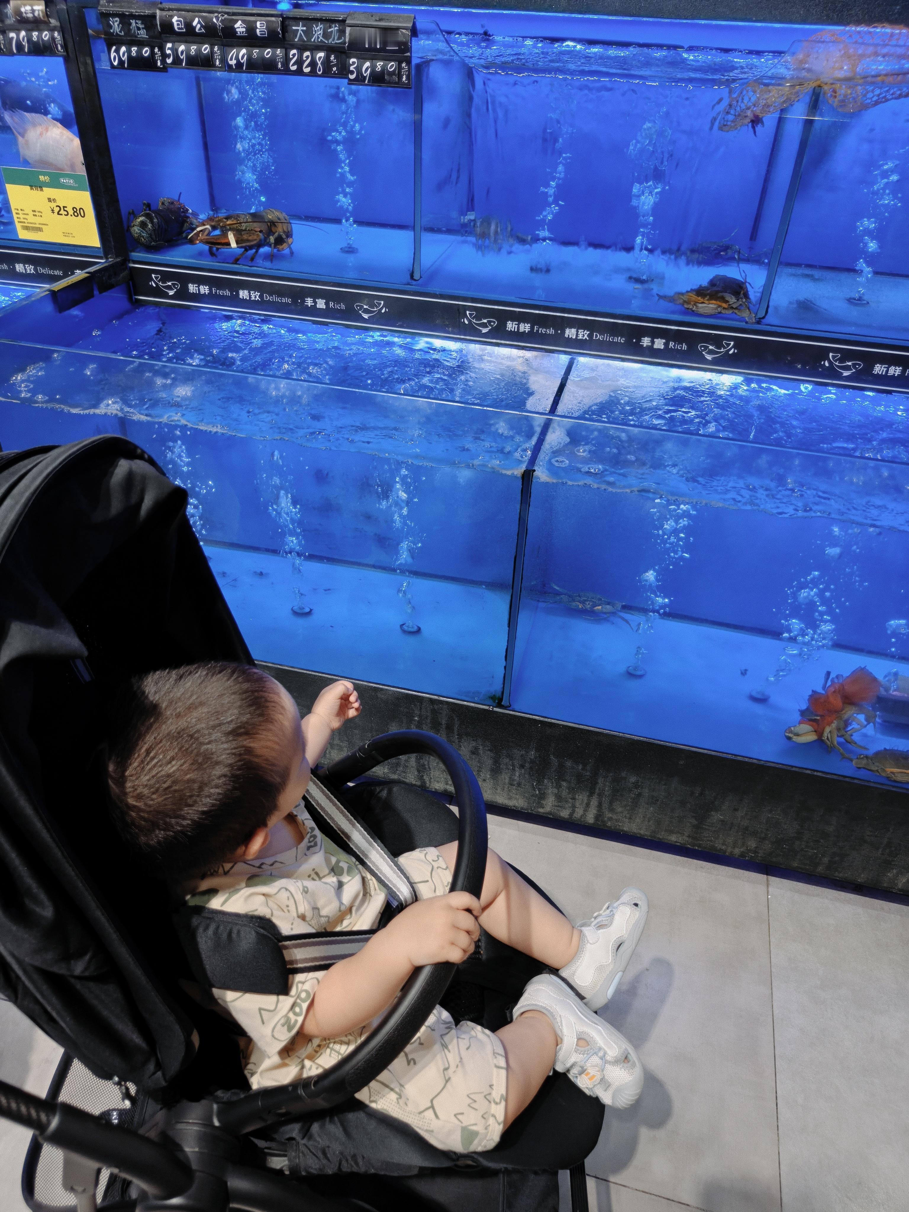 换了个水族馆 