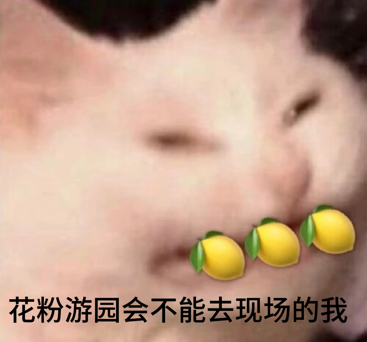 四百位花粉齐聚上海练秋湖沉浸式体验花粉游园会 上海练秋湖这场花粉游园会也太会玩了