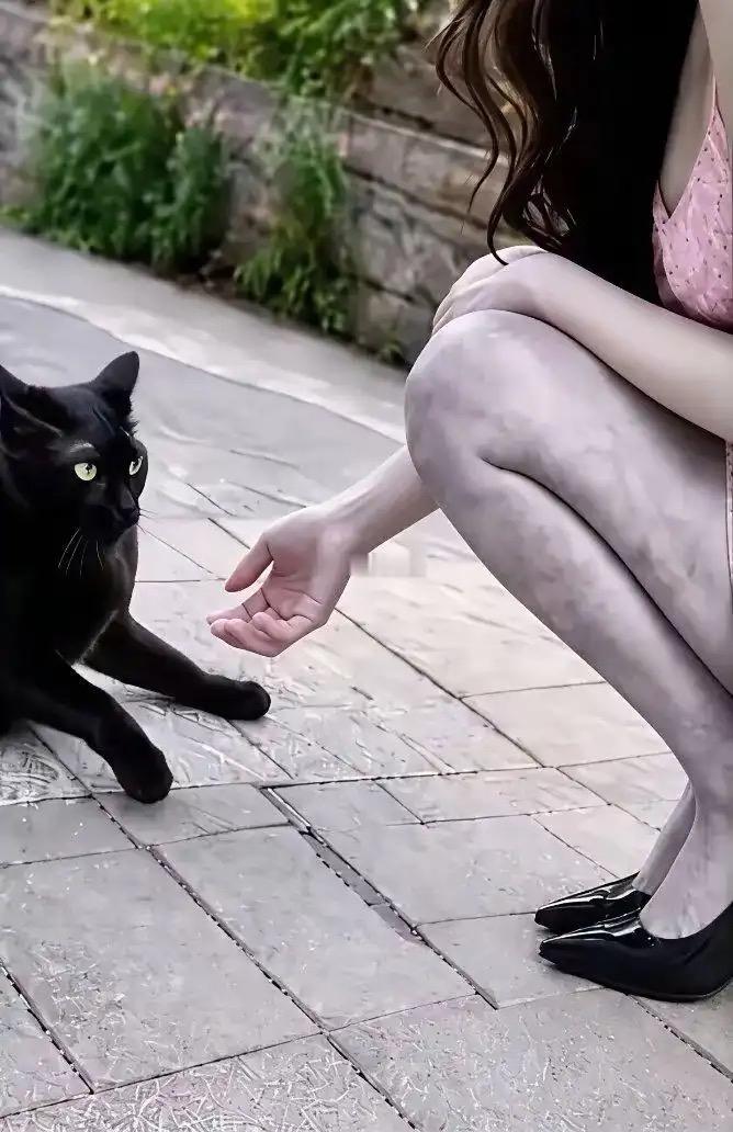 小姐姐温柔伸手想撸黑猫，下一秒猫咪直接炸毛嘶吼，吓得她连忙后退。好好的氛围瞬间破