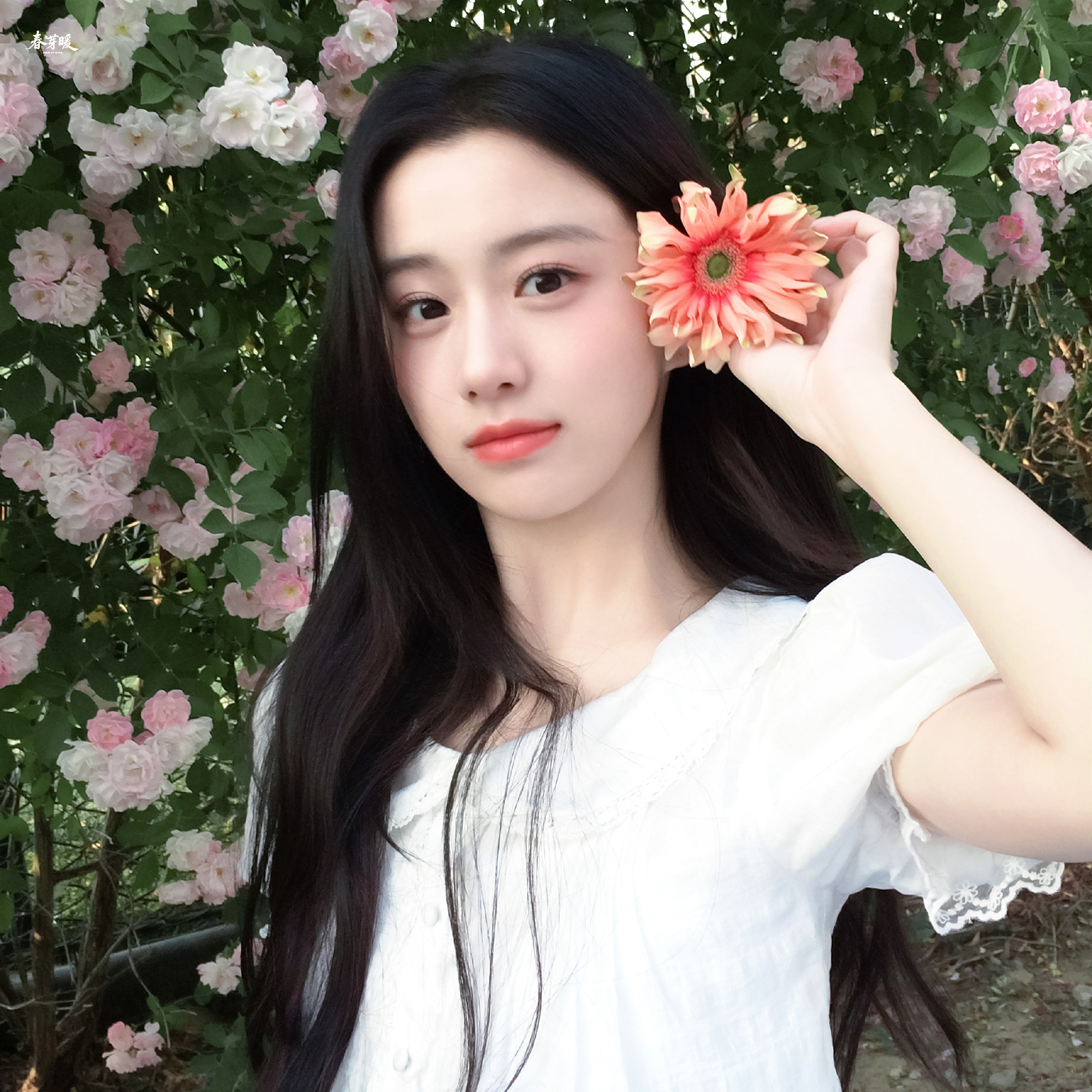 包上恩  💛 包上恩江湖夜雨十年灯 💛包上恩蔡昭你的出現讓我開始相信天使的存