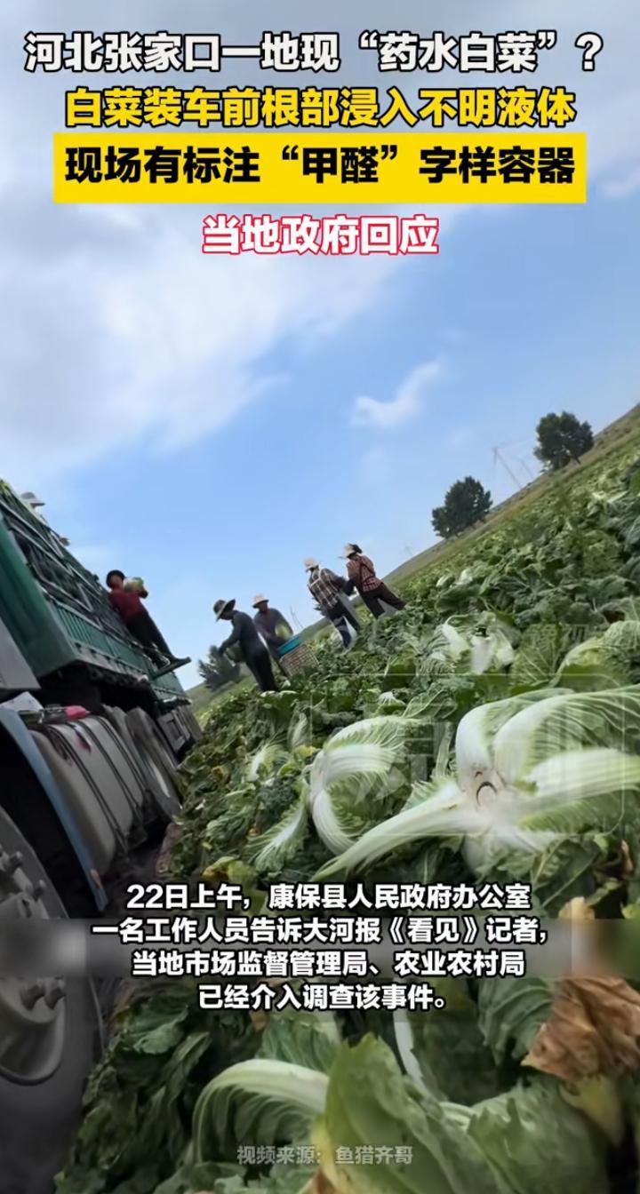 【河北康保县通报“白菜收购蘸取甲醛溶液”：情况属实！】8月22日，河北张家口市康