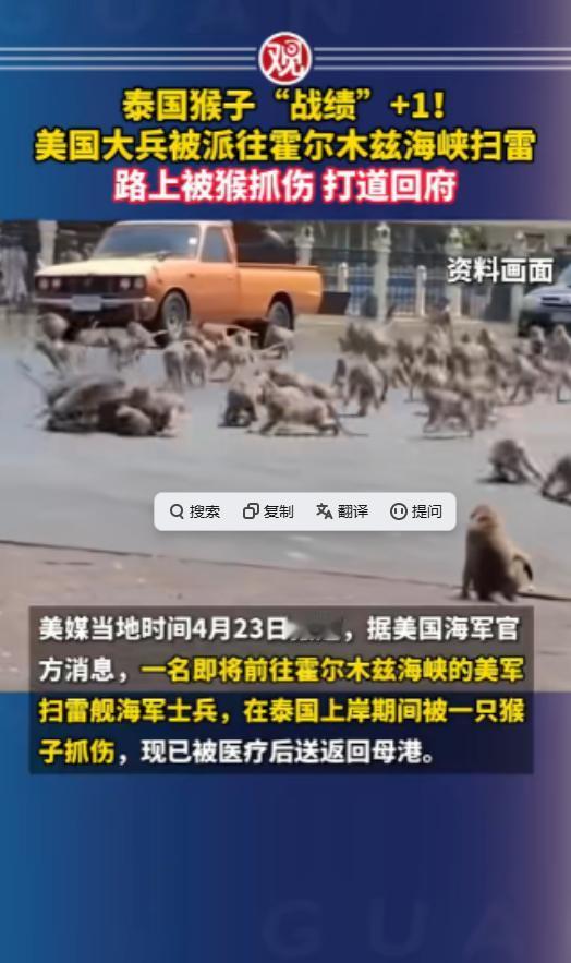 谁能想到，美军大兵去霍尔木兹海峡玩命扫雷，半道被泰国猴子干废，灰溜溜打道回府！美