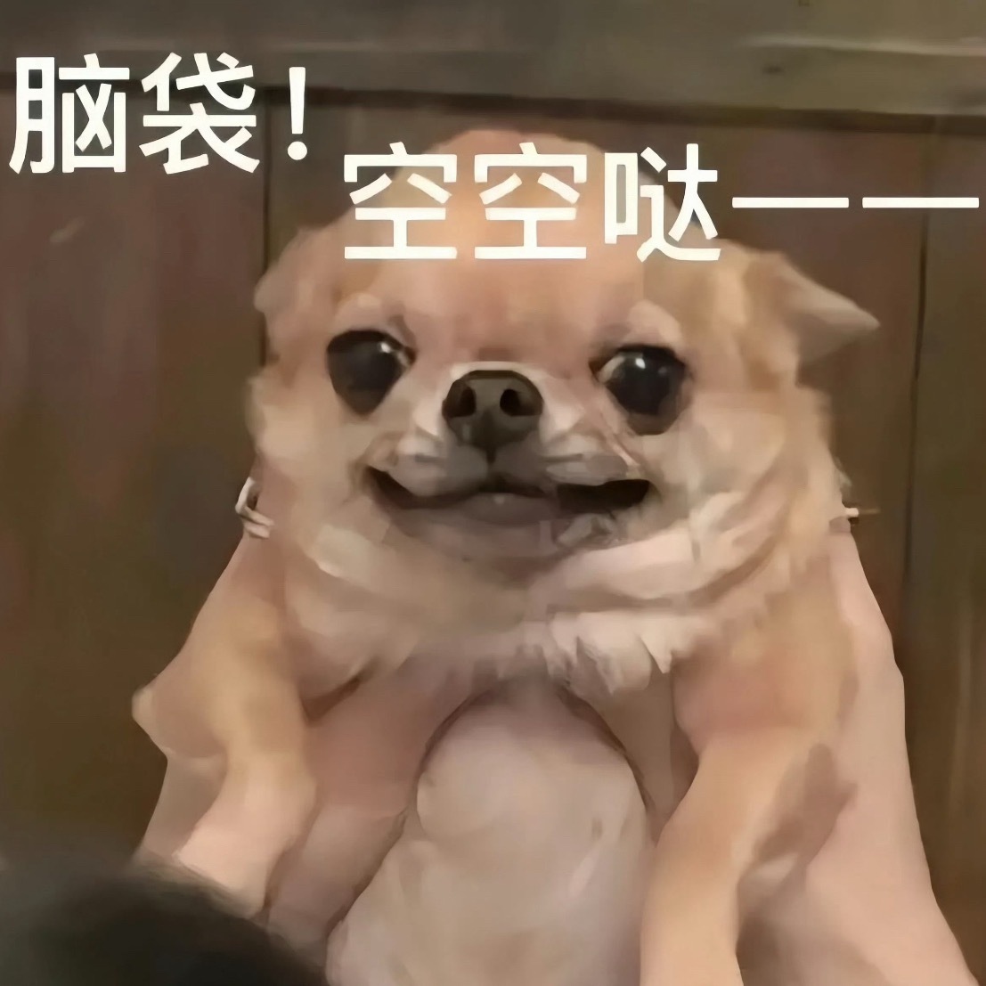 我在这个6.0每天： 