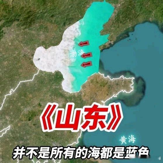 《山东的两种海，很多人依然分不清楚》山东的两种海，很多人依然分不清楚网页链接