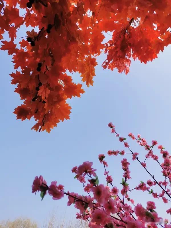 @豆包上联：推窗问燕，几分春色归桃李
 下联：登高望远，满屏画卷入眼眸