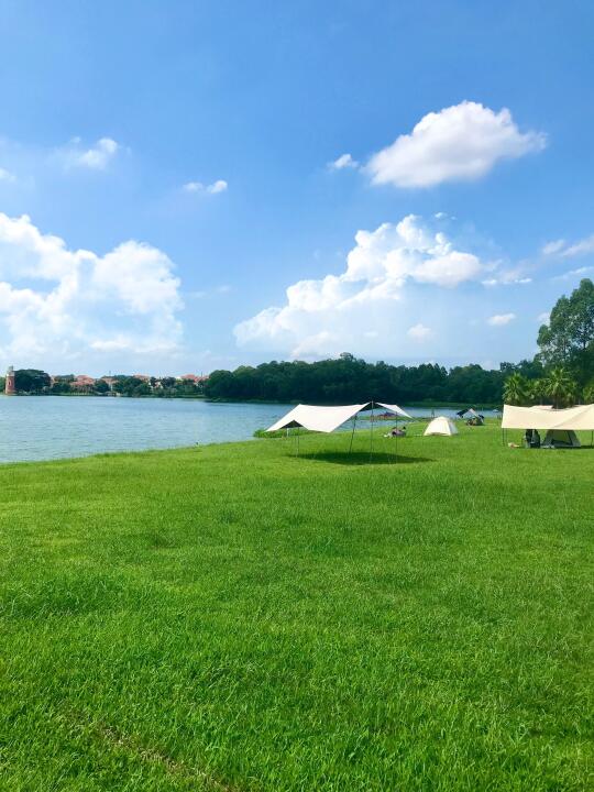 开车直达🚗佛山这里也太适合🏕️露营了❗️