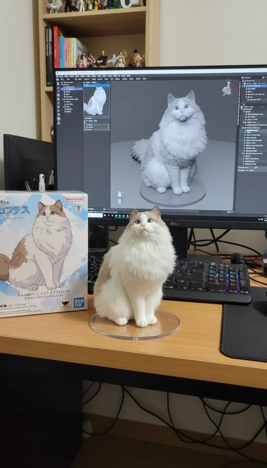 我们也是有小手办的小猫咪啦