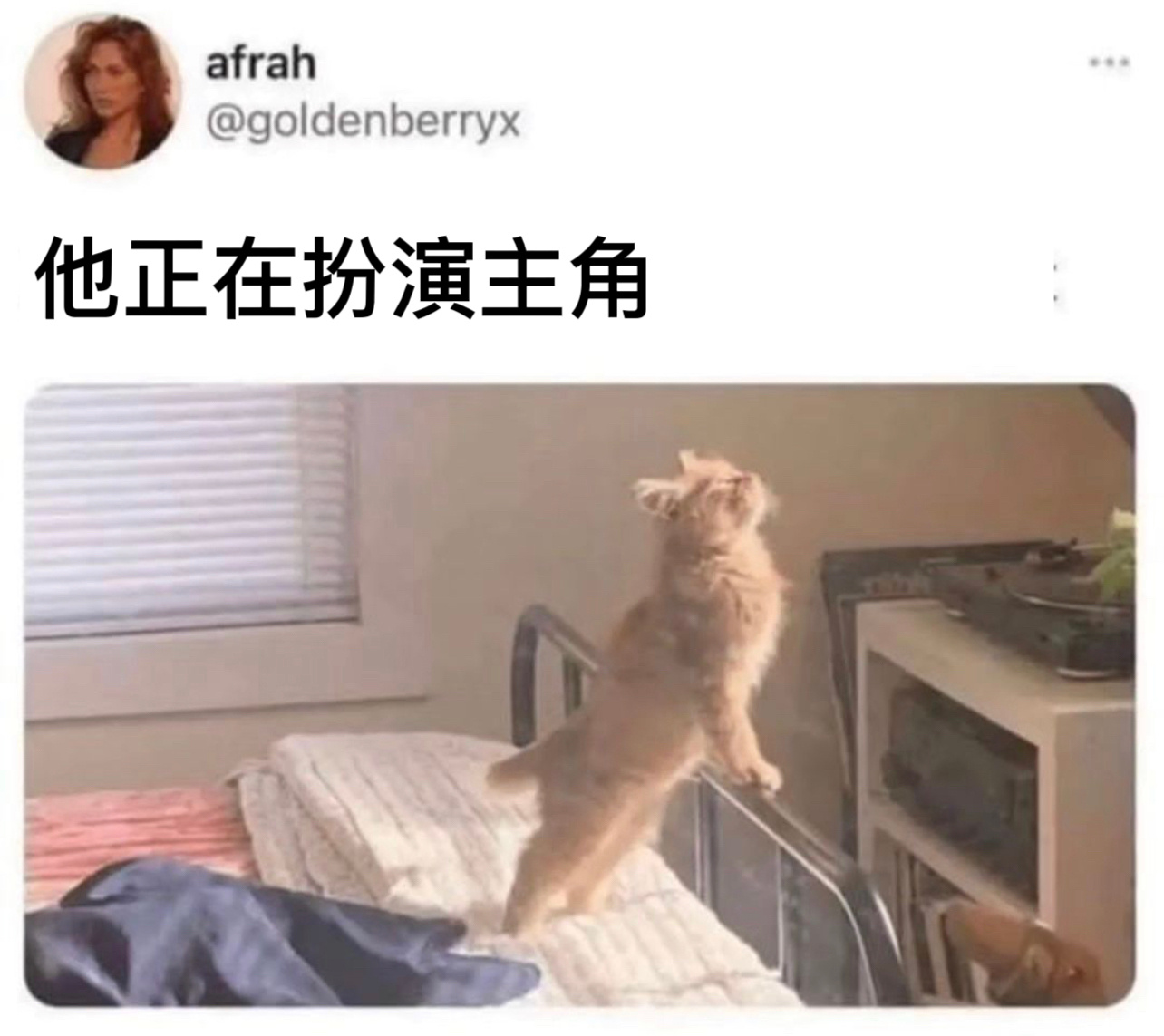 不用扮演#今日memes# //#龙年造梗大赛# ​​​