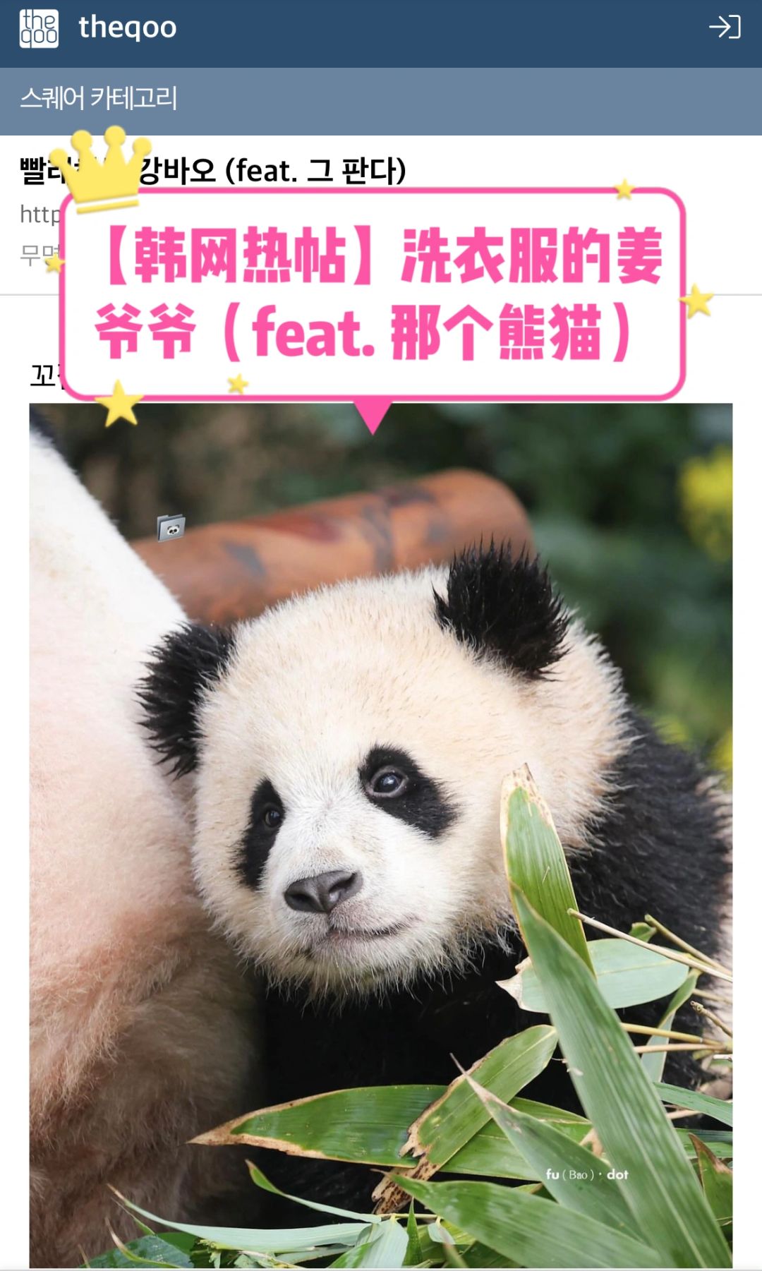 🔥热帖｜洗衣服的姜爷爷（feat. 那个熊猫）