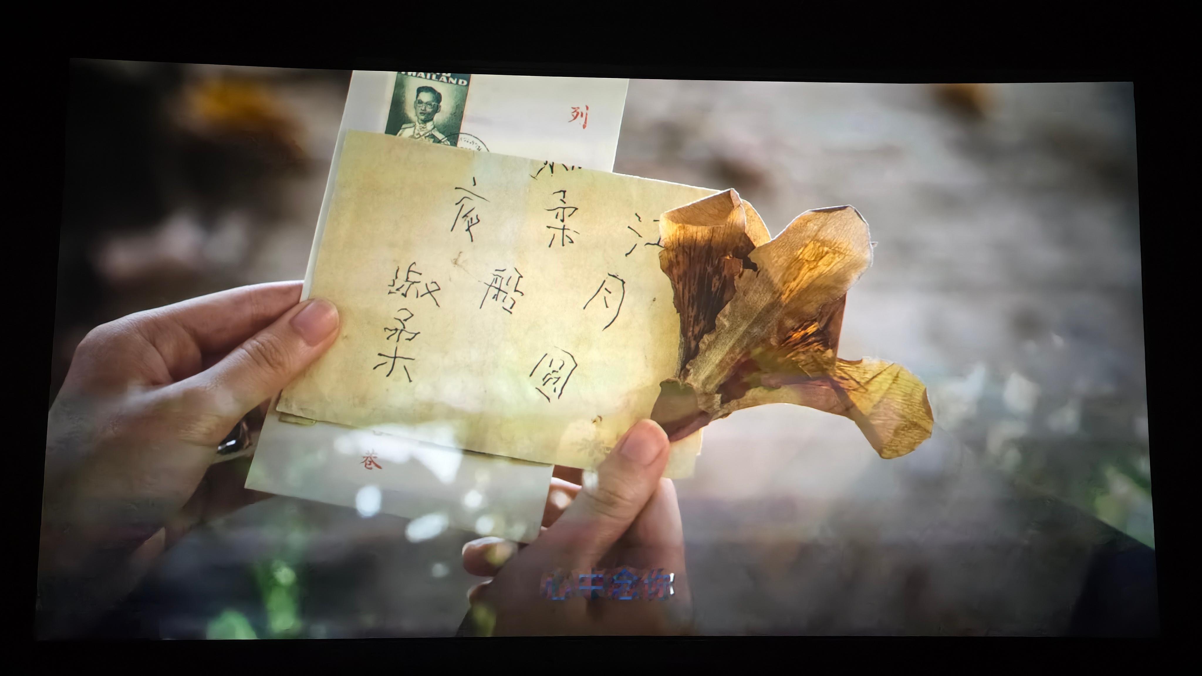 看了《给阿嬷的情书 》，上午场人很少，算上我只有三个人。不确定旁人是不是也哭了，