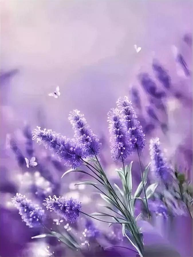 话多惹祸？这道理越早懂

但很多人到中年才明白闭嘴的真相

现代人总把“社交牛逼